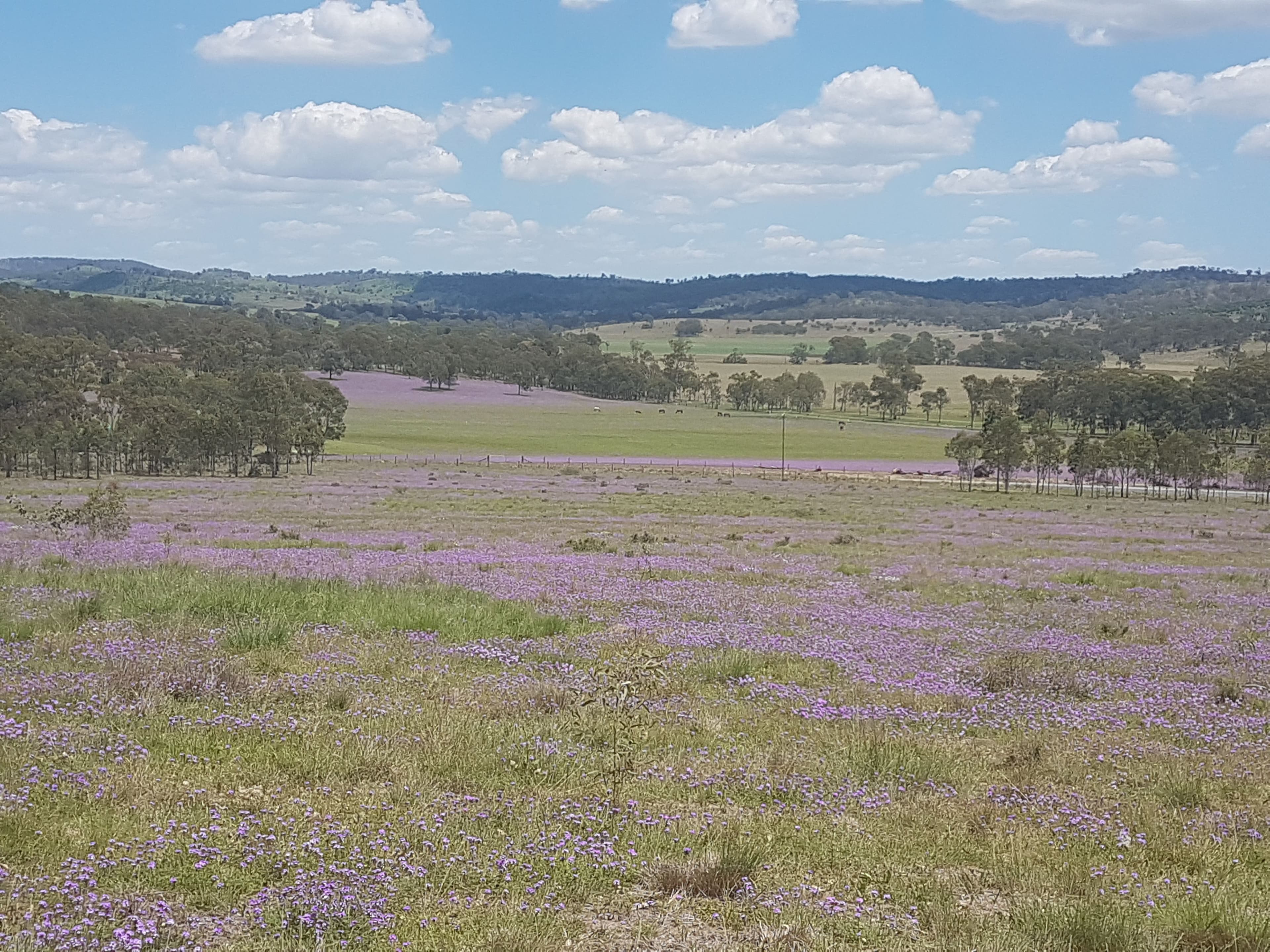 3303 New England Highway, Cooyar QLD 4402, Cooyar - Image 1