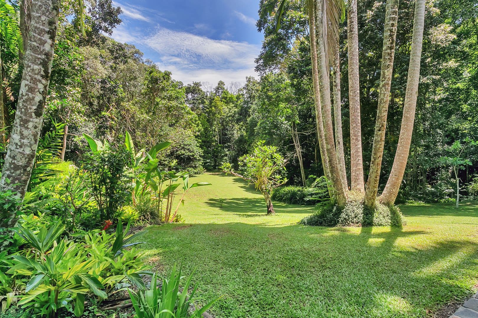 49 Butler Drive, Kuranda QLD 4881, Kuranda - Thumbnail 3