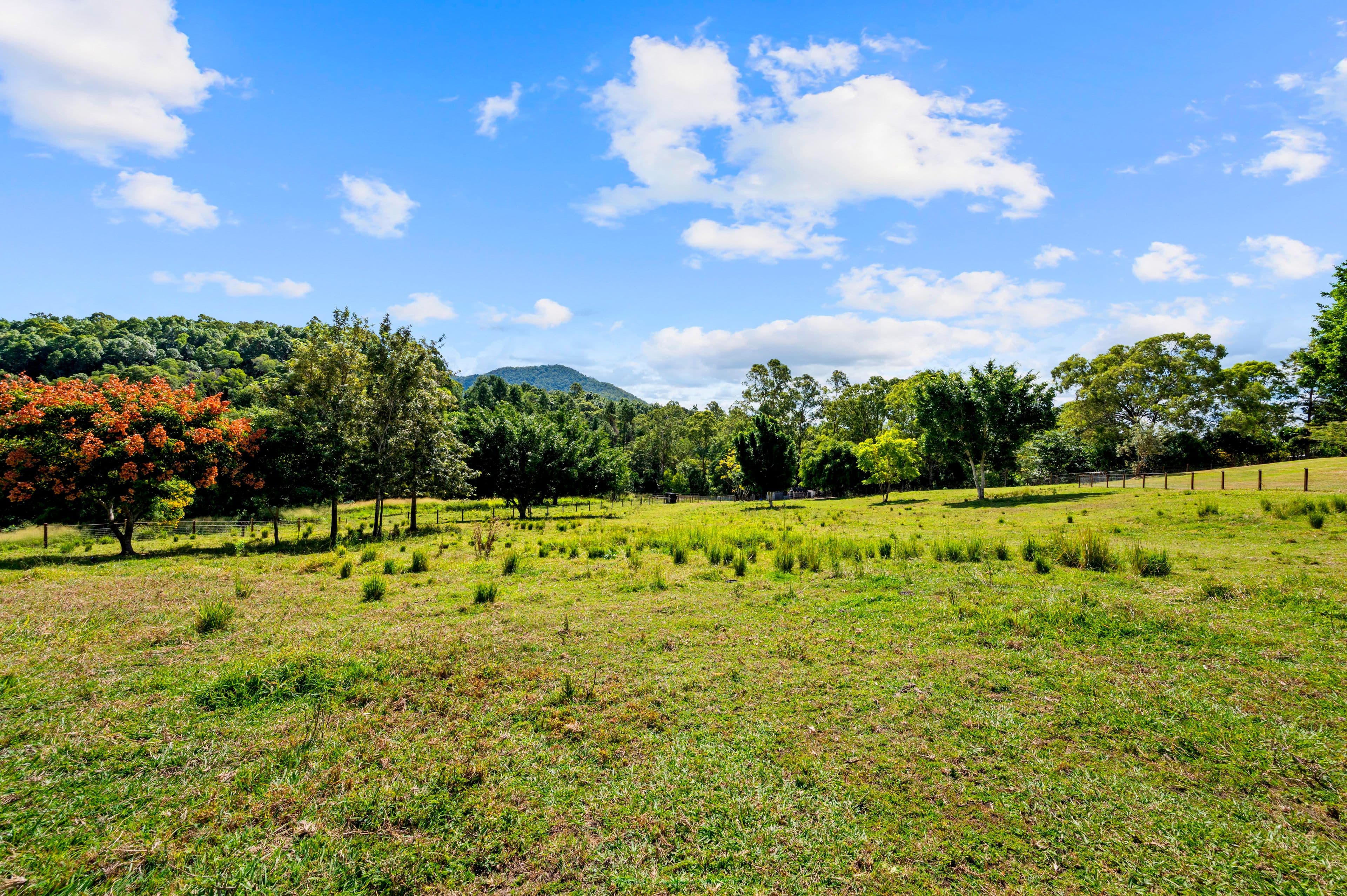 92 Halls Road, Cedar Creek QLD 4520, Cedar Creek - Thumbnail 5