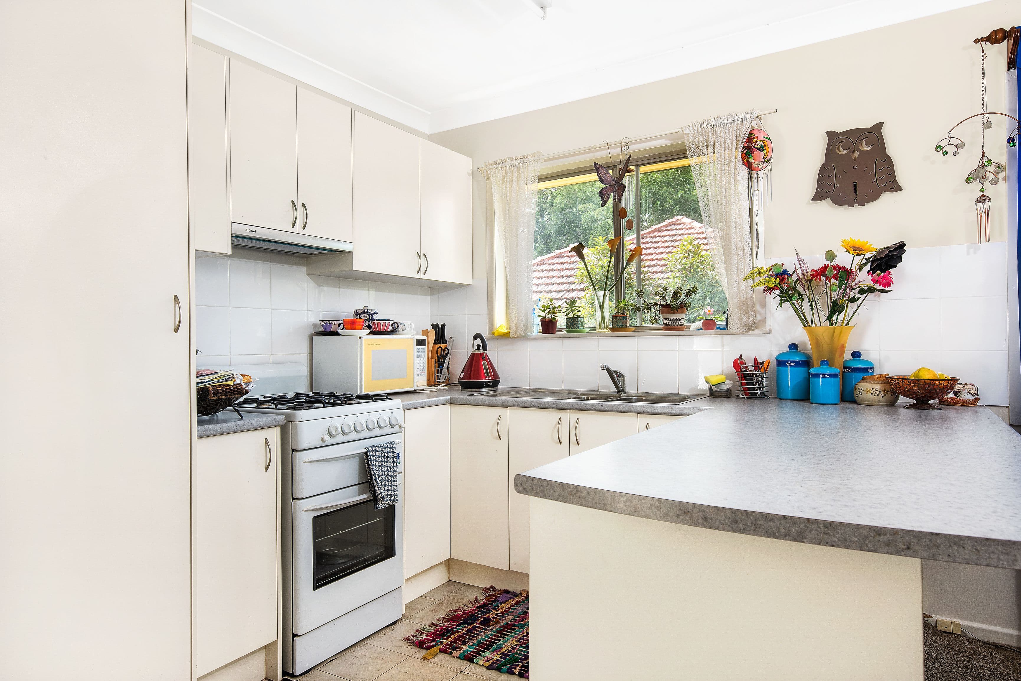 36 Joffre Street, Ashgrove QLD 4060, Ashgrove - Thumbnail 3