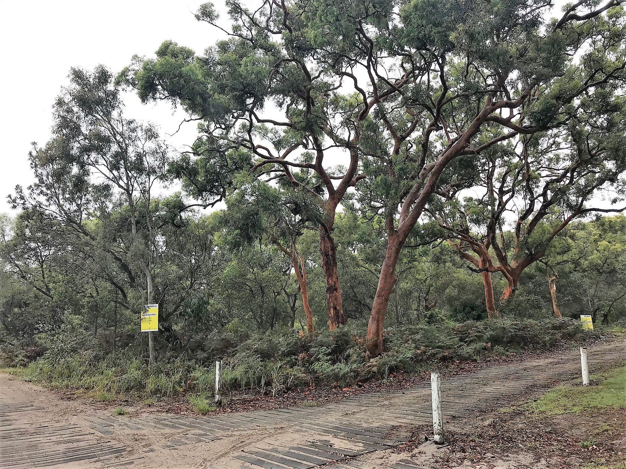 2 Fraser Court, Fraser Island QLD 4581, Fraser Island - Thumbnail 6