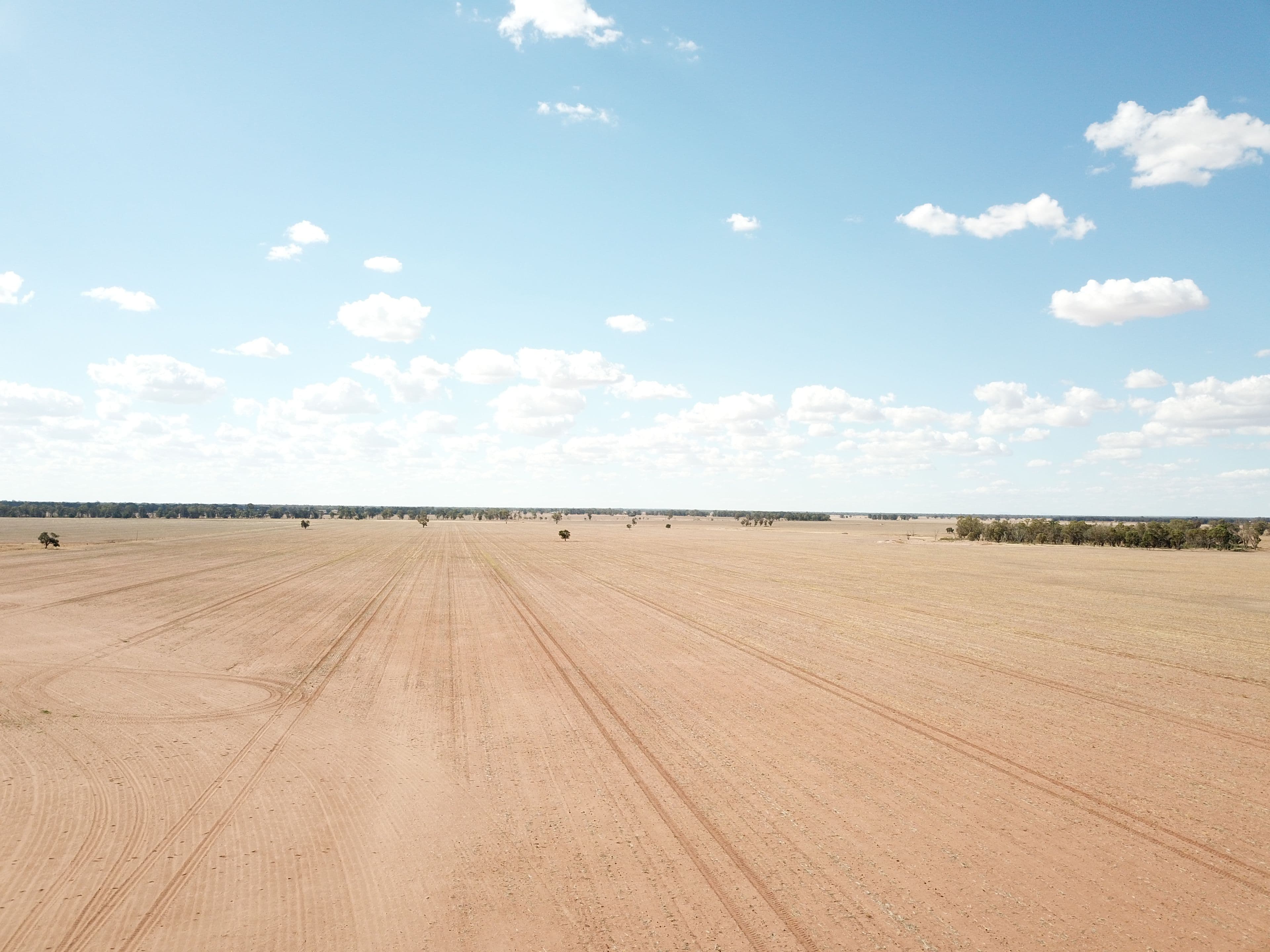 Pett's Block, Pineview Road, NARROMINE NSW 2821, Narromine - Thumbnail 5