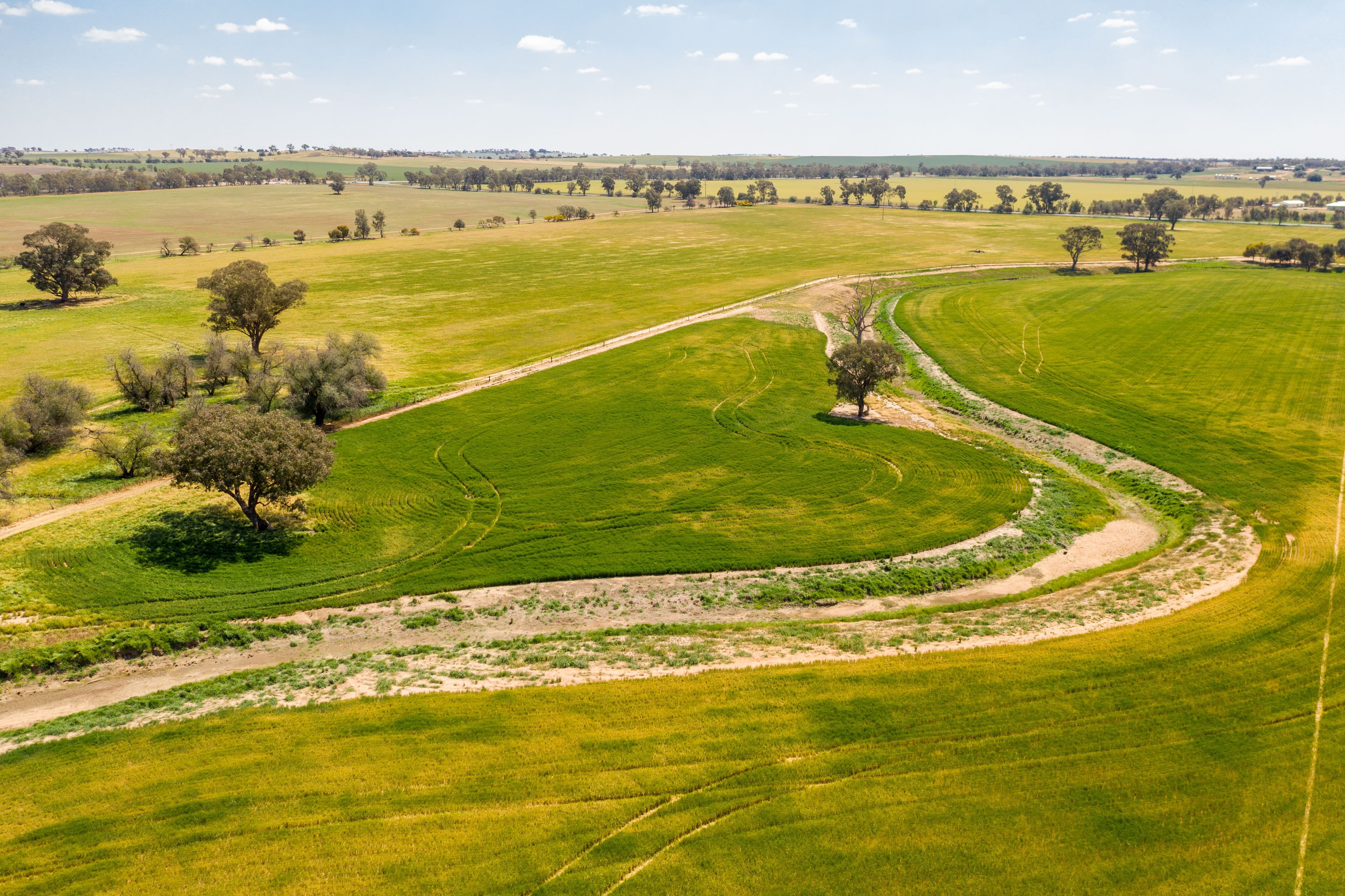 Junee NSW 2663, Junee - Thumbnail 8