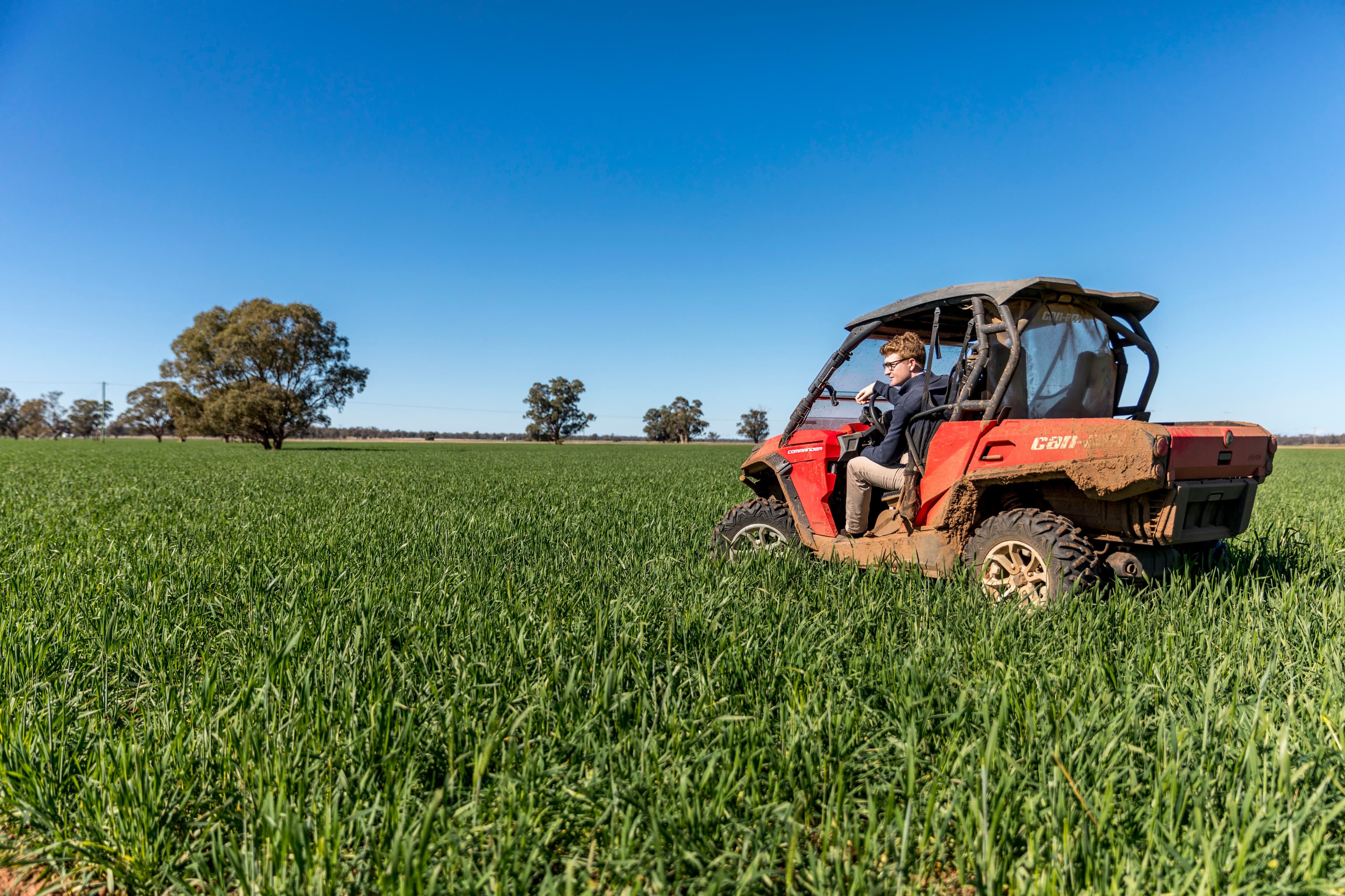 3502 Numalla Road, Peak Hill NSW 2869, Peak Hill - Thumbnail 2