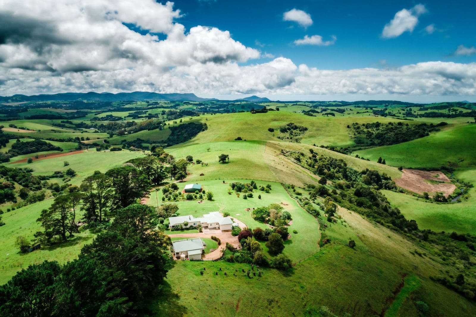 591 Shephards Road, Dorrigo NSW 2453, Dorrigo - Thumbnail 2