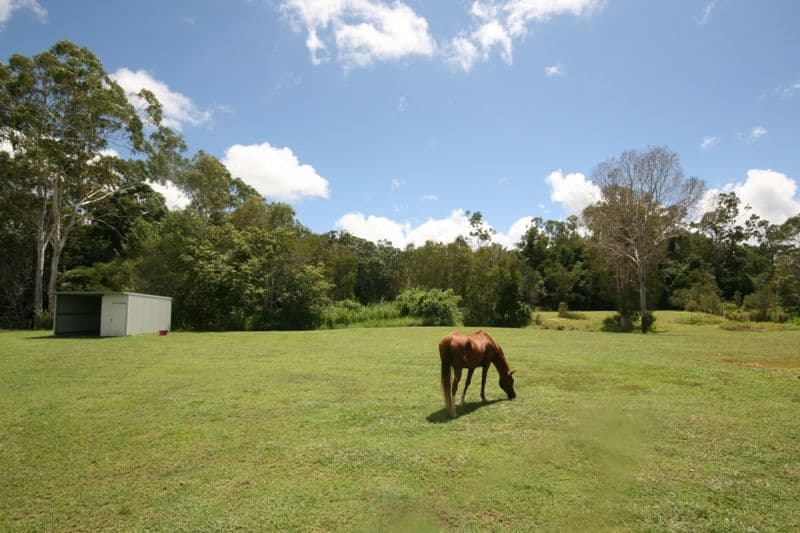 13 Pandanus Place, Speewah QLD 4881, Speewah - Thumbnail 3