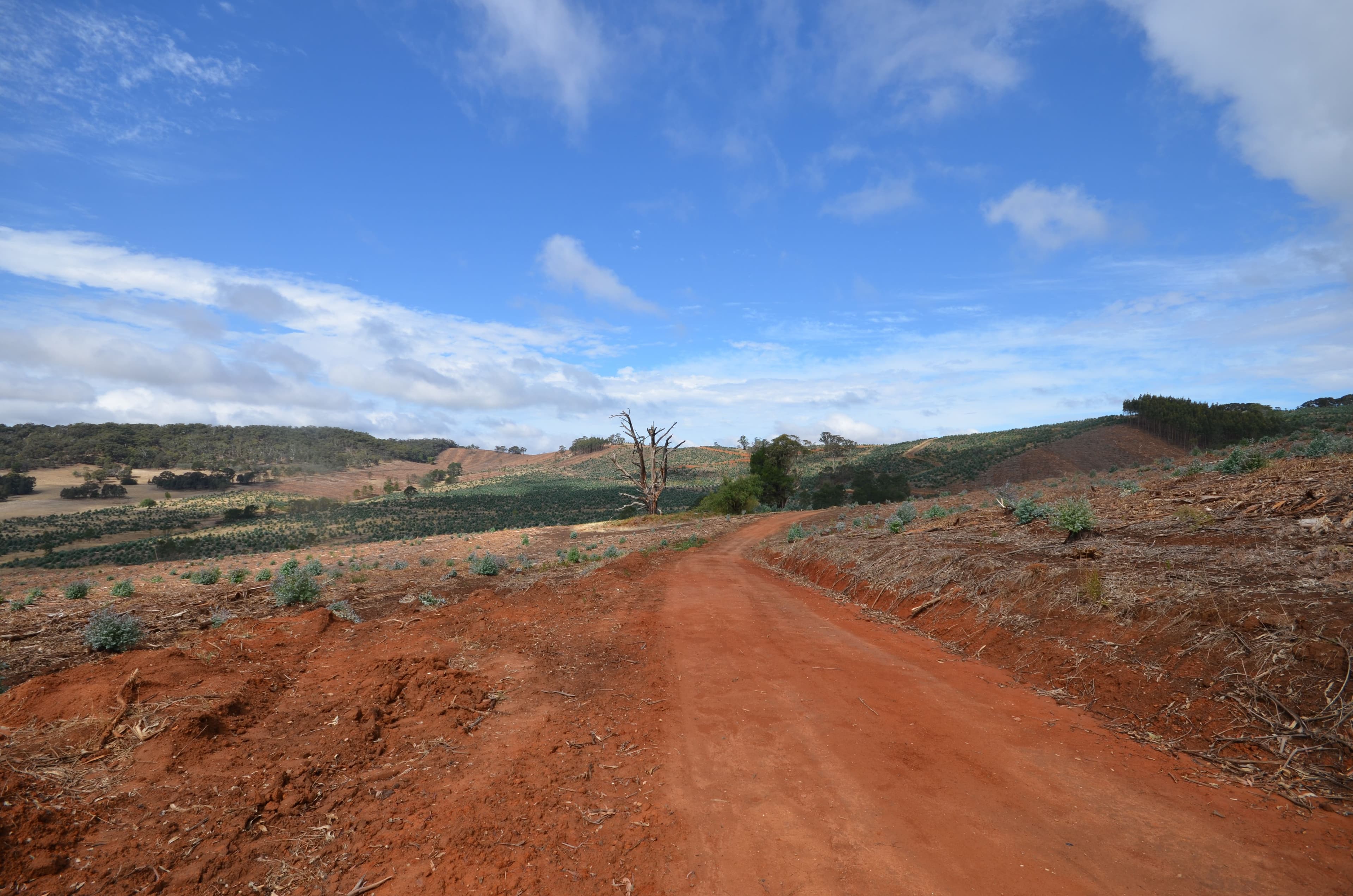 "Cocking West" Mount Lonarch Road, MOUNT LONARCH VIC 3468, Mount Lonarch - Thumbnail 2