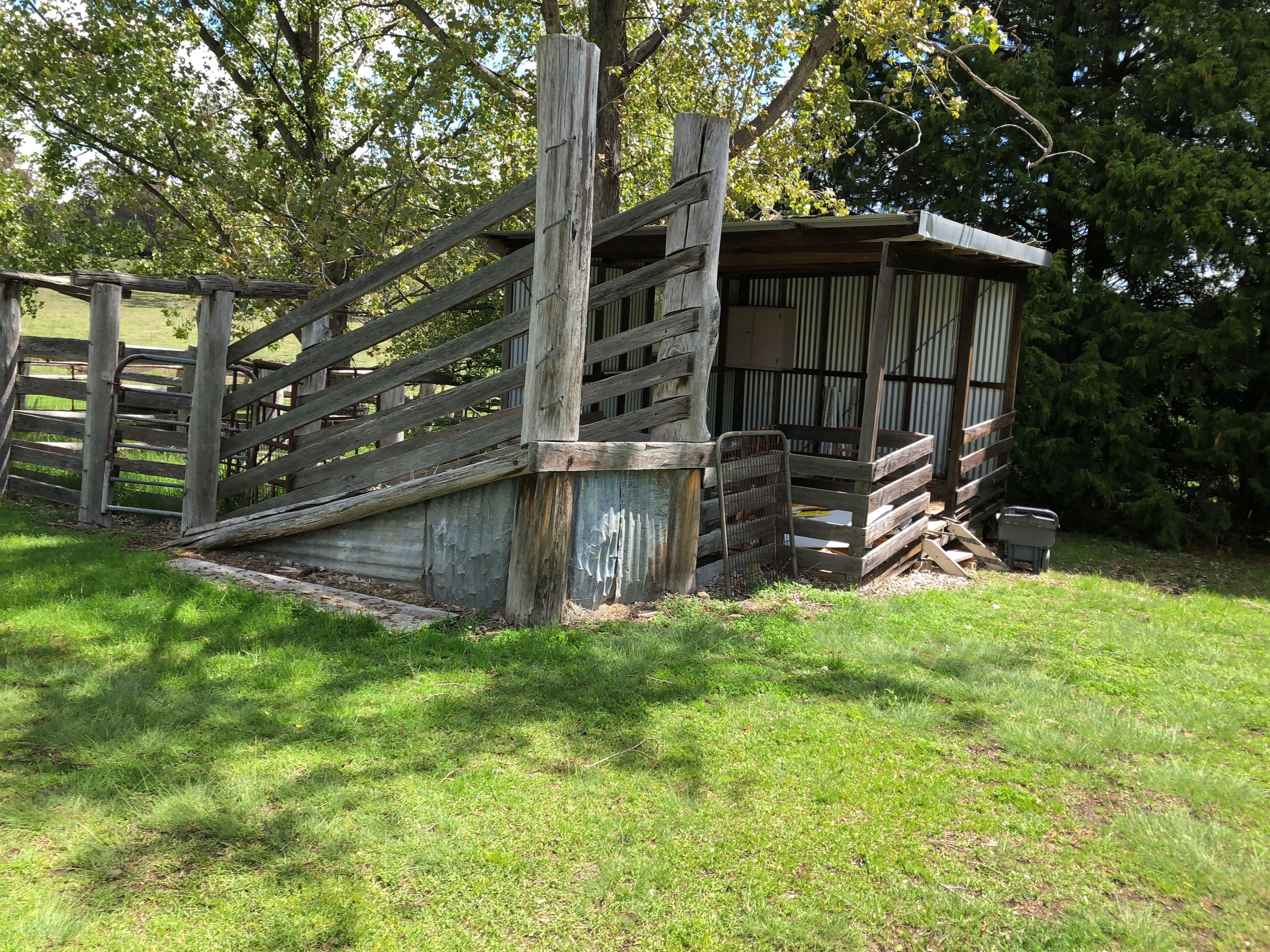 4 Dumaresq Street, Glen Innes - Thumbnail 6