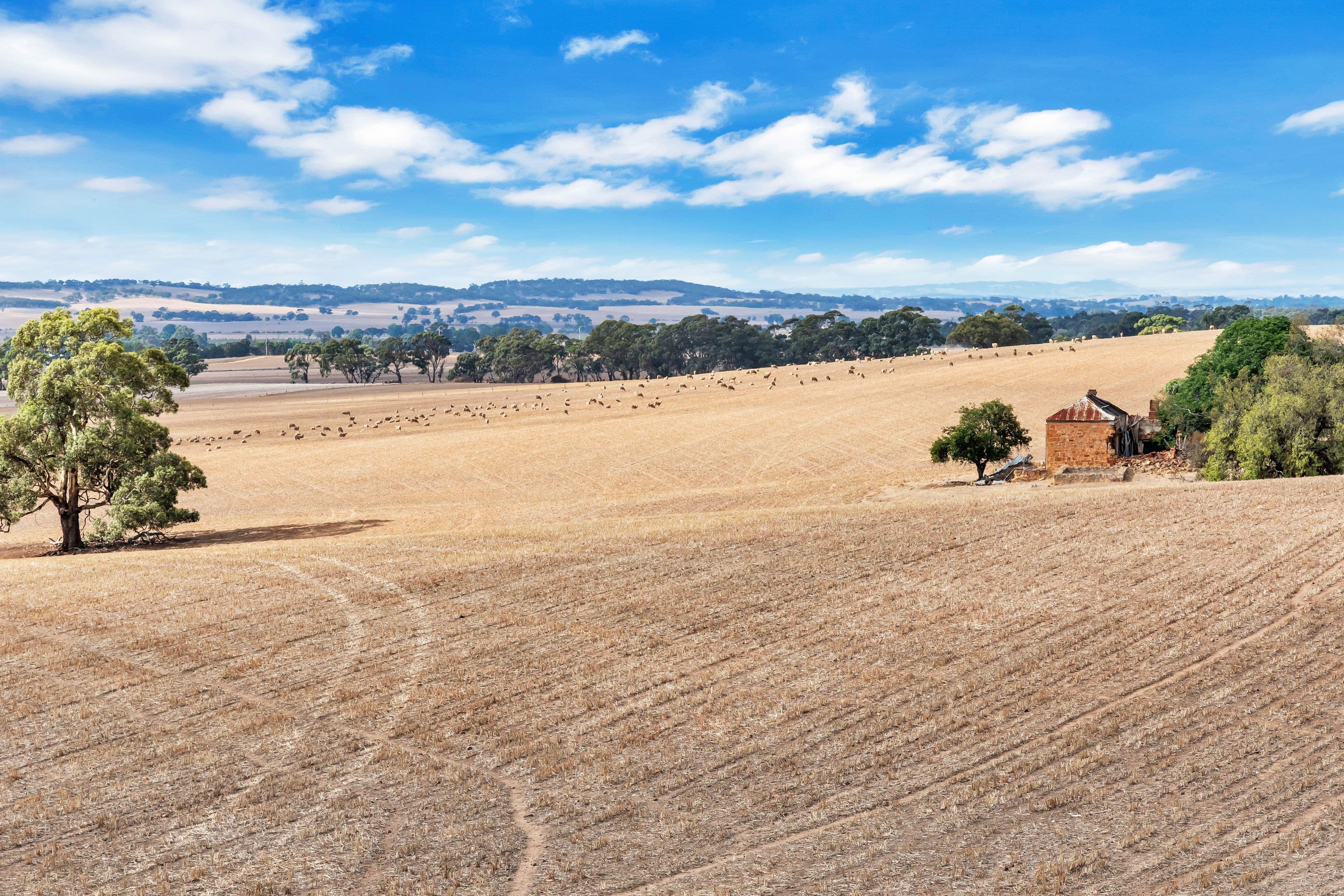 "Vingo's" Lot 57 Powerline South Road, Marrabel SA 5413, Marrabel - Image 1