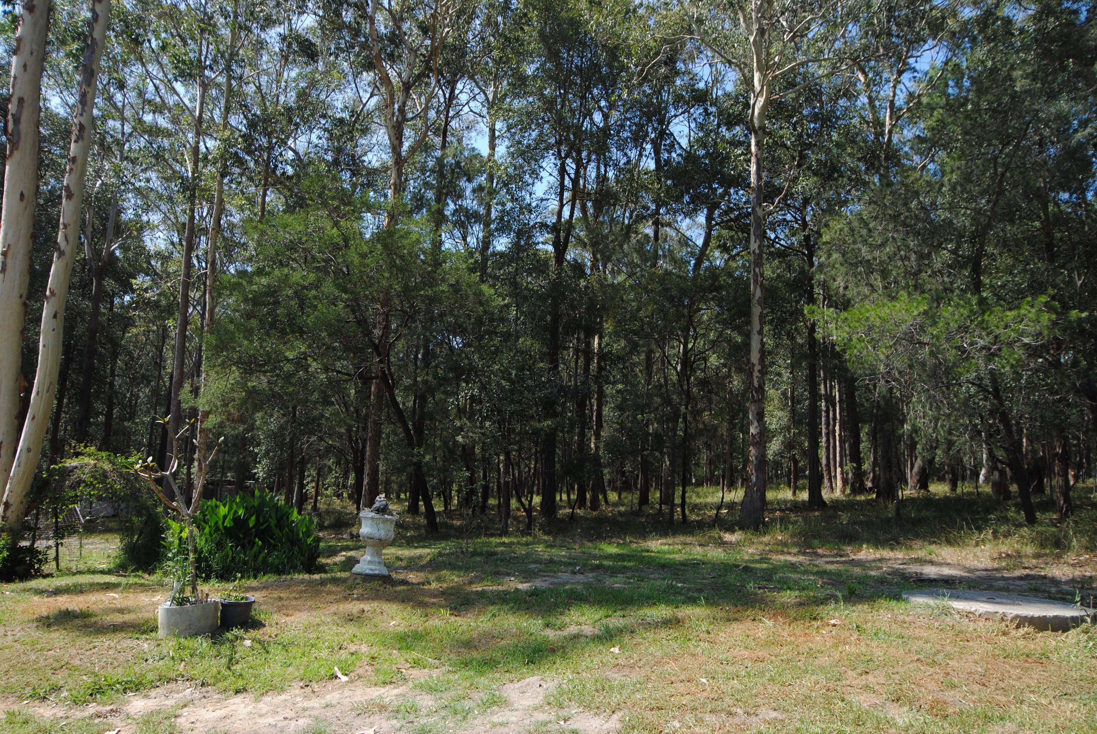 161-162 Inglewood Crescent, Tomerong NSW 2540, Tomerong - Thumbnail 5