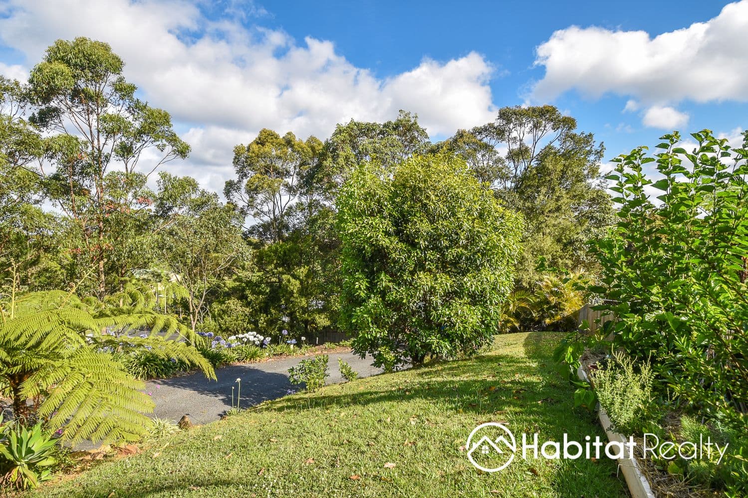 27 Tolima Drive, Tamborine Mountain QLD 4272, Tamborine Mountain - Thumbnail 5