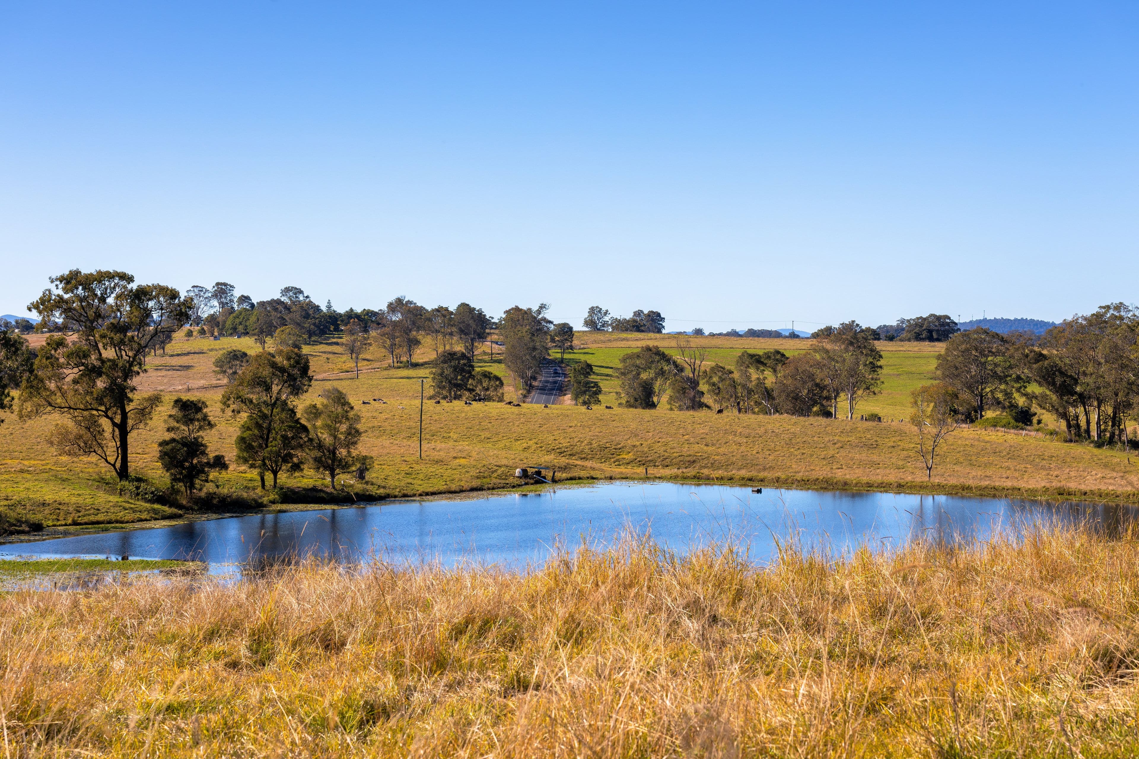 58 Nowendoc Road, Killawarra NSW 2429, Killawarra - Thumbnail 2