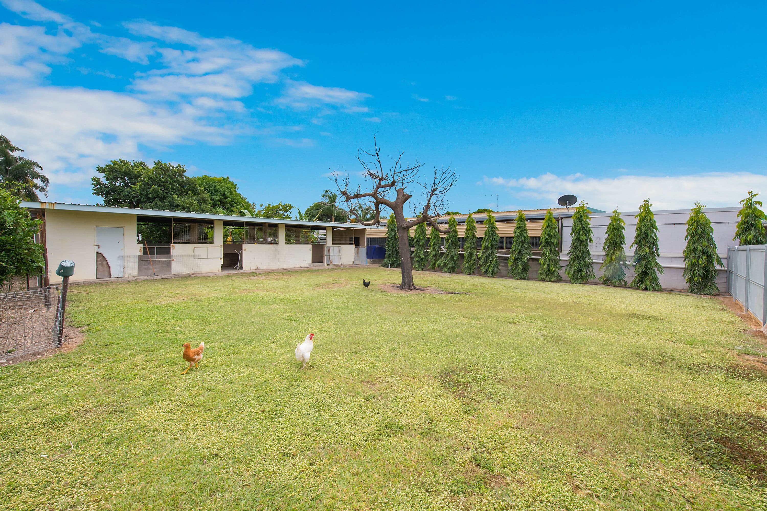 24 Gilliat Street, Wulguru QLD 4811, Wulguru - Thumbnail 2