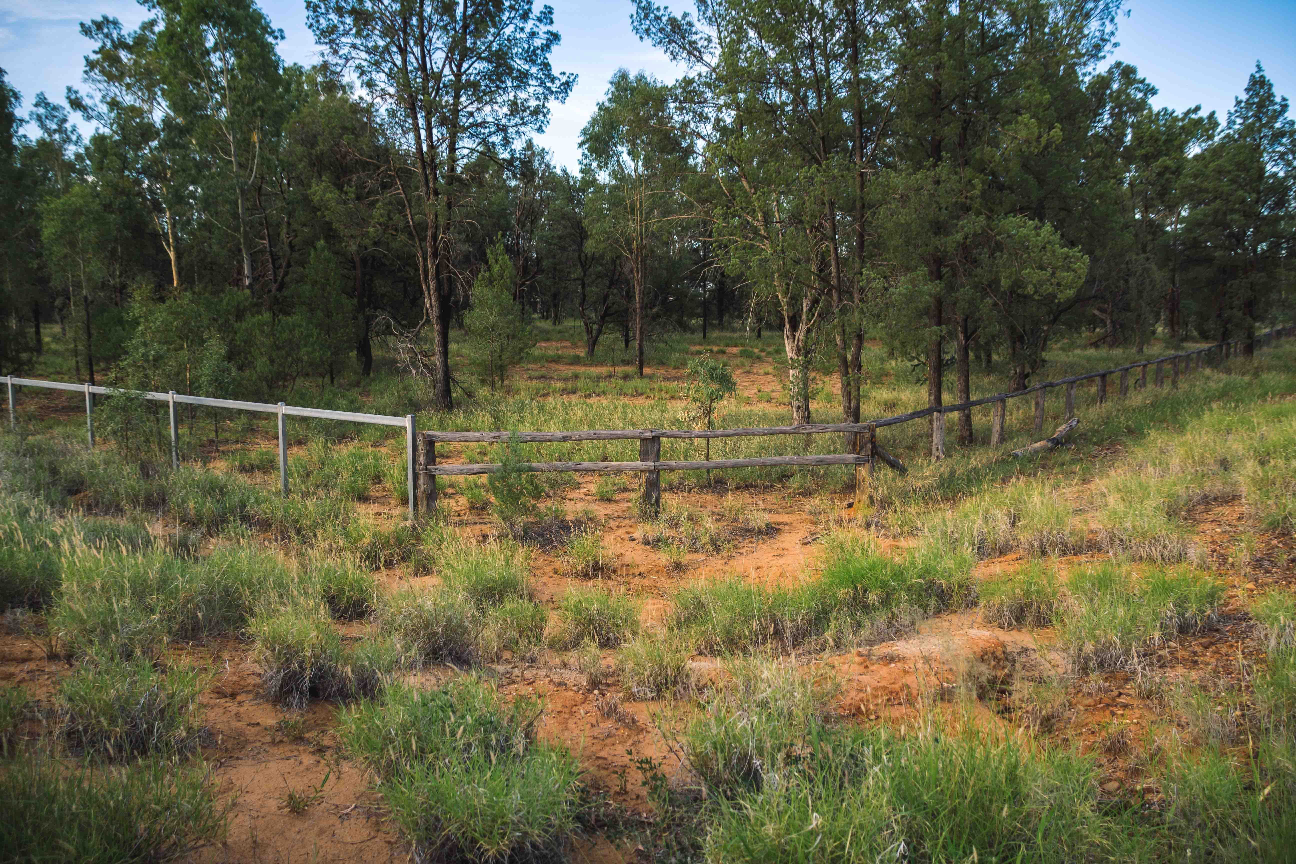 0 Banjarra Drive, Charleville QLD 4470, Charleville - Image 1