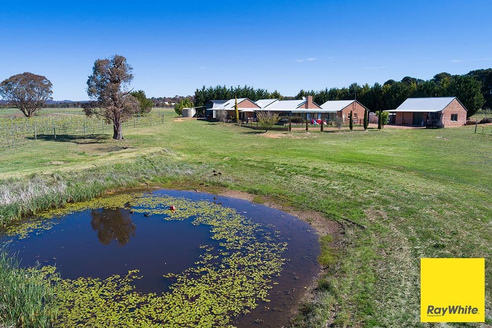 44 Summerhill Road, Bywong NSW 2621, Bywong - Thumbnail 4