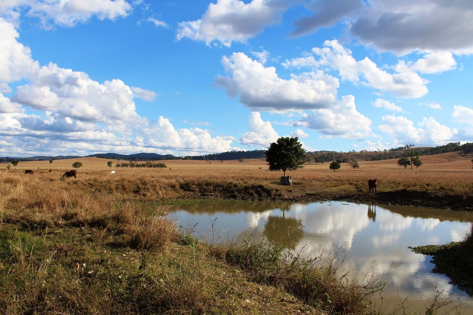 7837 Brisbane Valley Highway, Braemore QLD 4313, Braemore - Thumbnail 3
