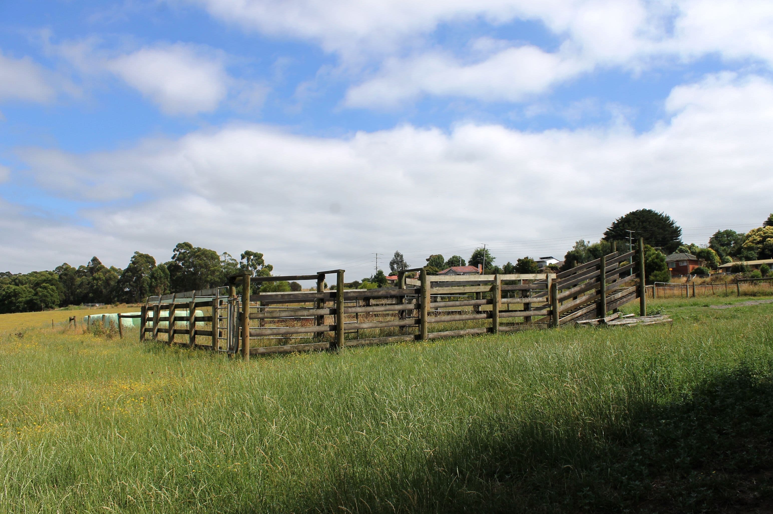 Drouin VIC 3818, Drouin - Thumbnail 3