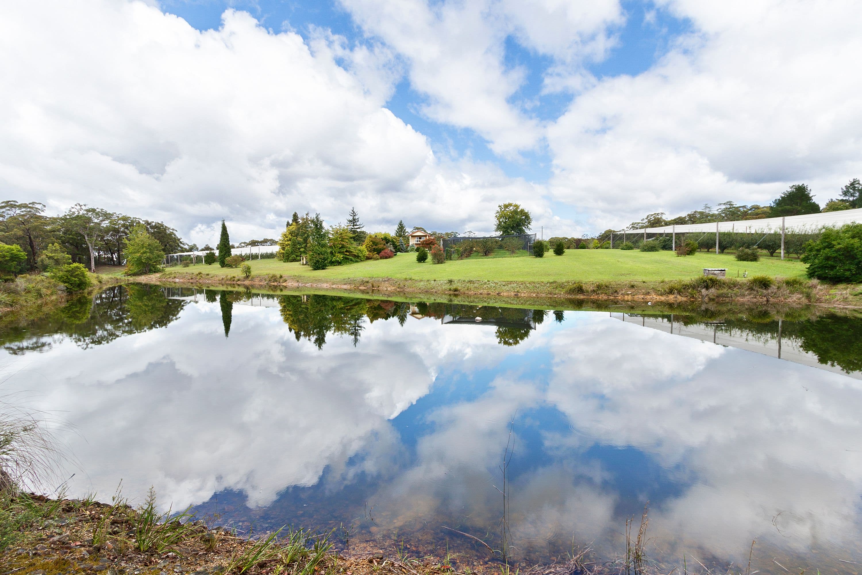 888 Mountain Lagoon Road, Bilpin NSW 2758, Bilpin - Thumbnail 2
