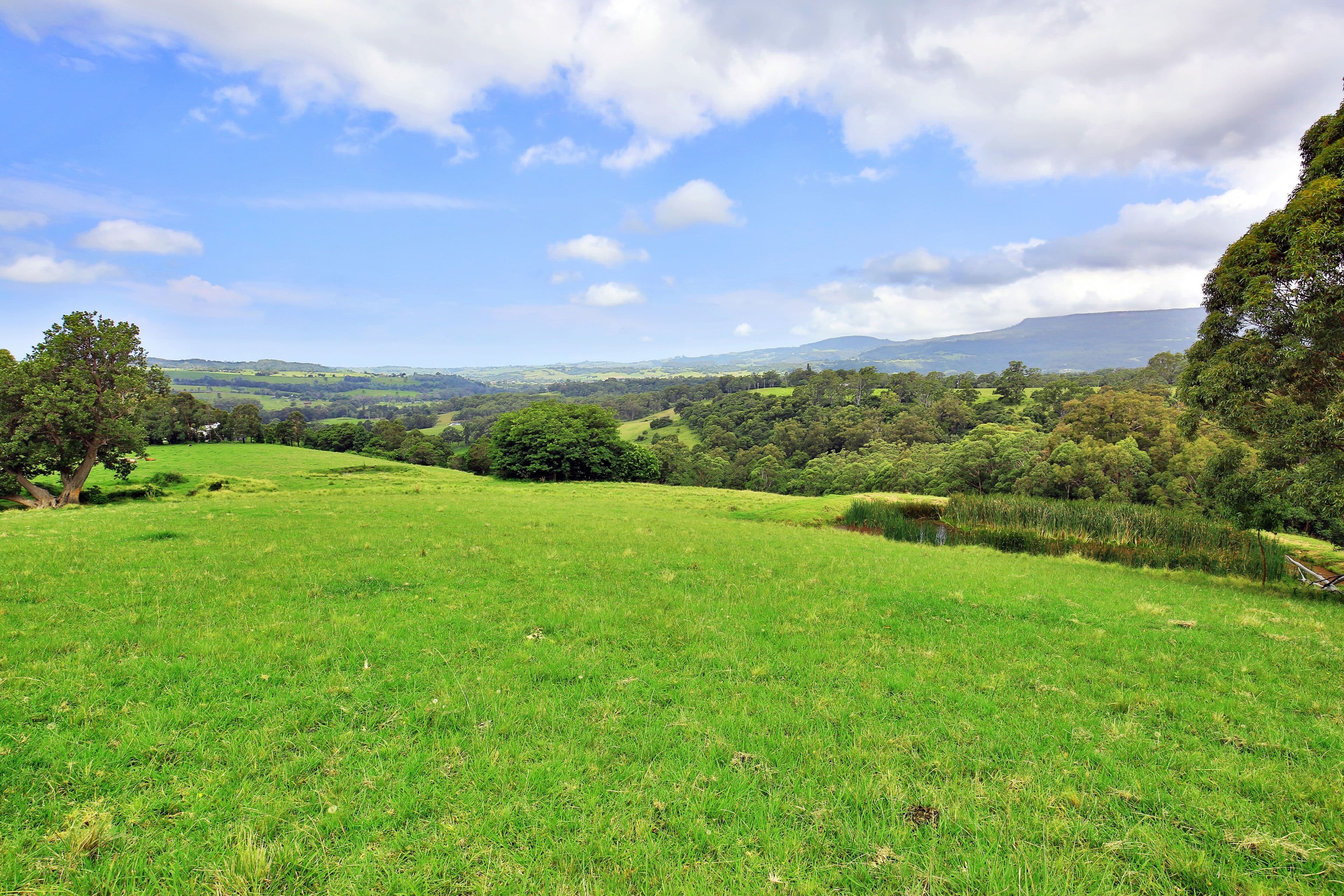 Lots 100  1001 Curramore Road, Jamberoo NSW 2533, Jamberoo - Thumbnail 8