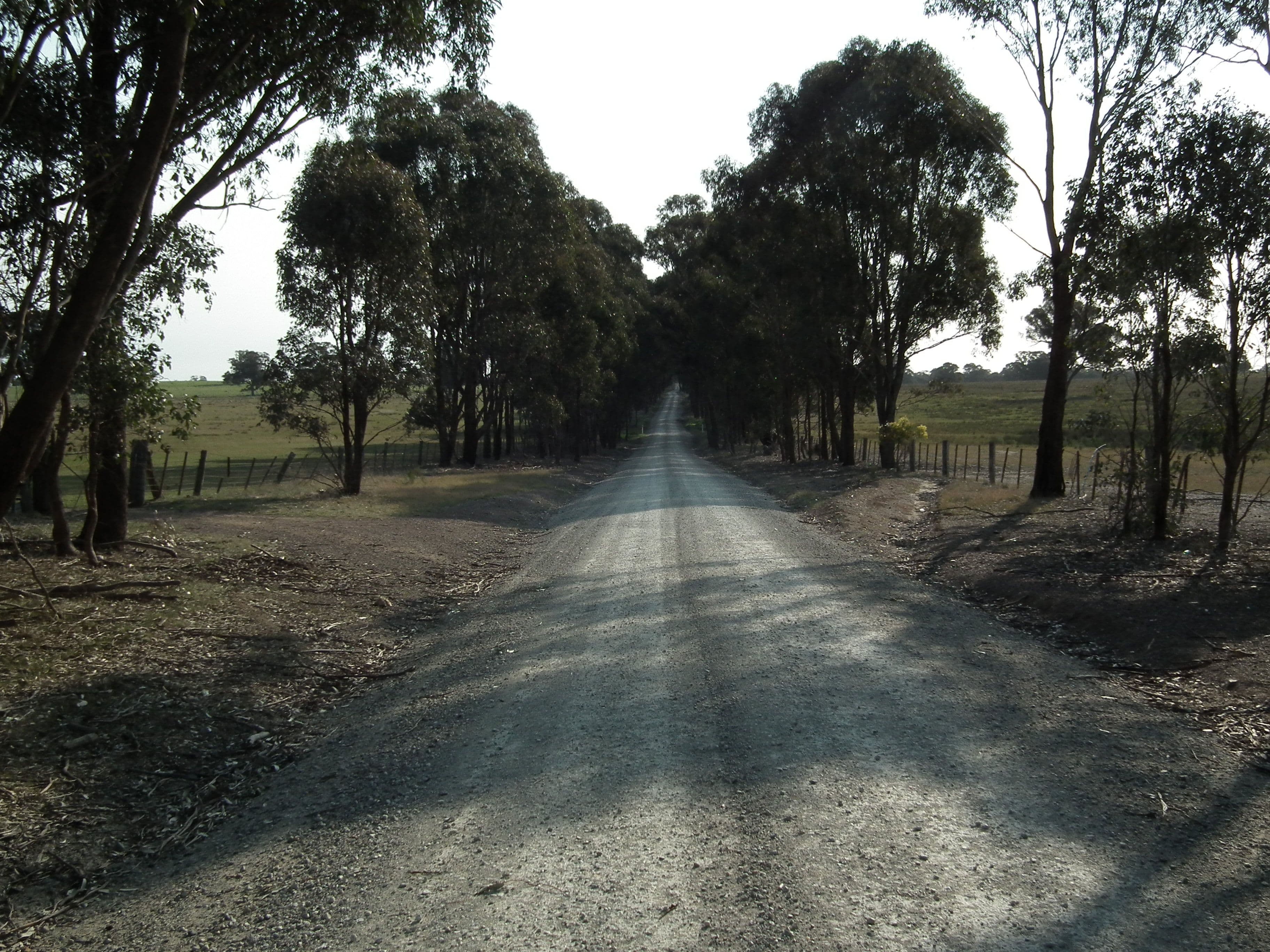 "Dwyers" Snipey Road, KIRWANS BRIDGE VIC 3608, Kirwans Bridge - Thumbnail 5