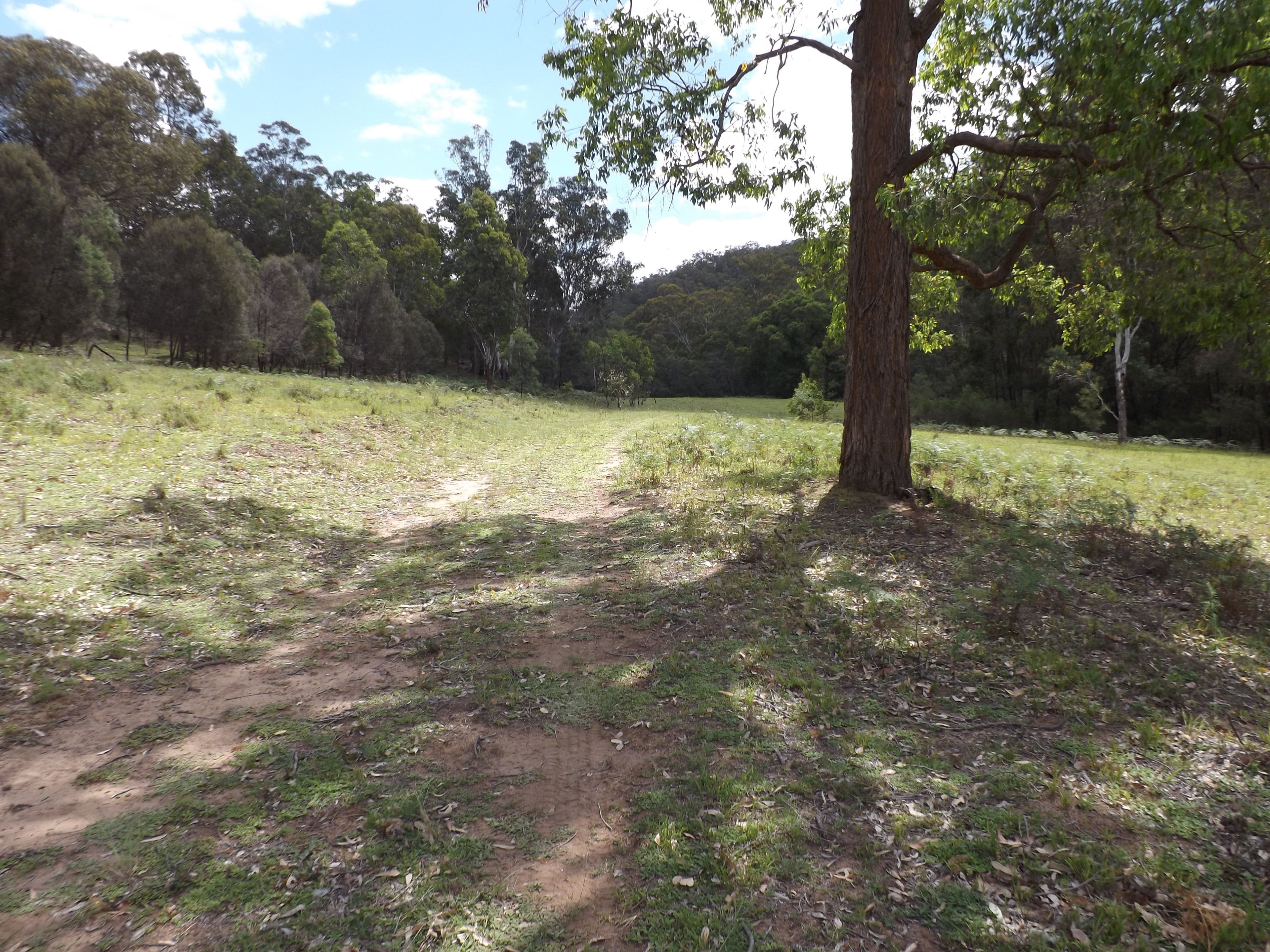 Garland Valley NSW 2330, Garland Valley - Thumbnail 5