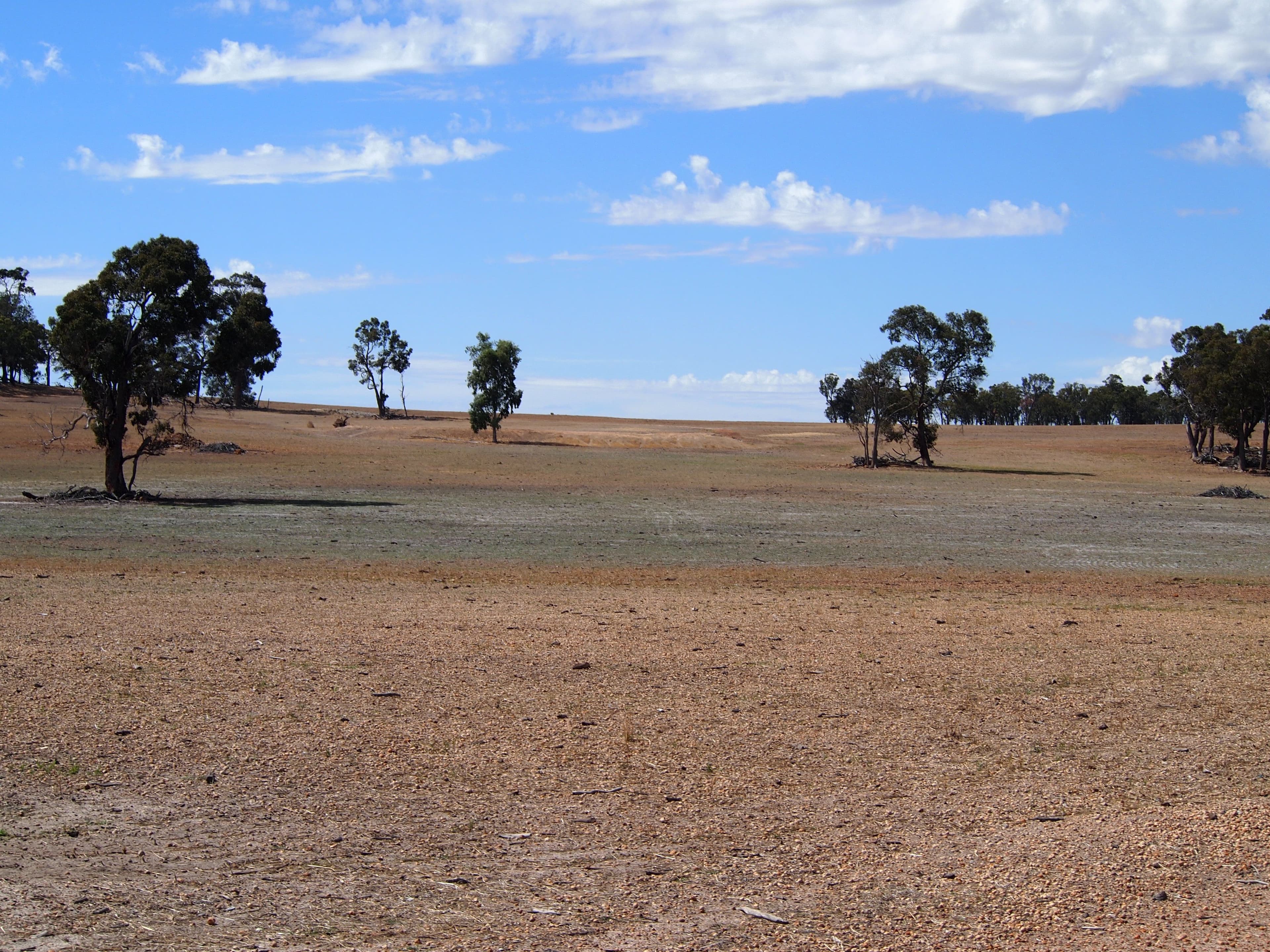Maringee Farm, Trigwell Bridge Road, Darkan WA 6392, Darkan - Thumbnail 3