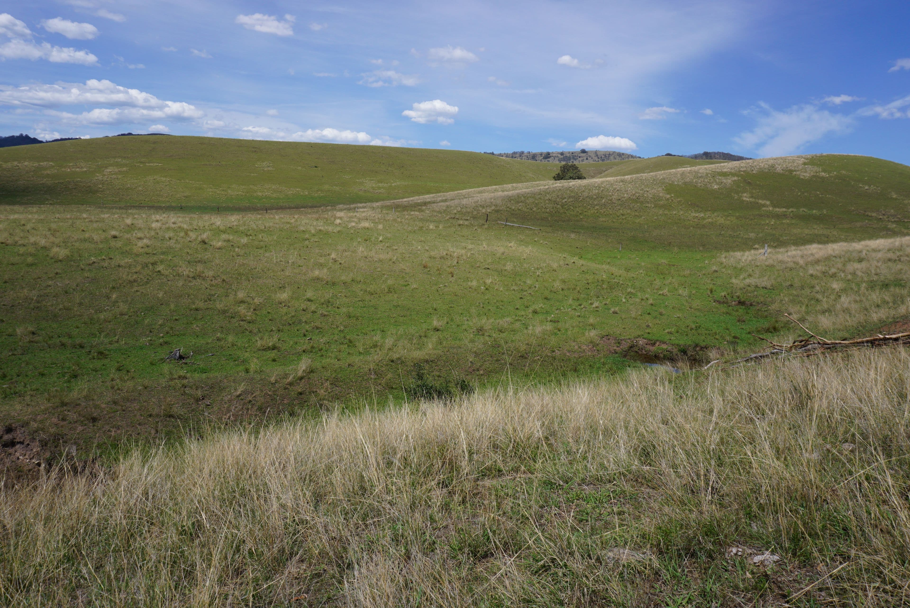 1104 Goorangoola Road, Greenlands NSW 2330, Greenlands - Image 1