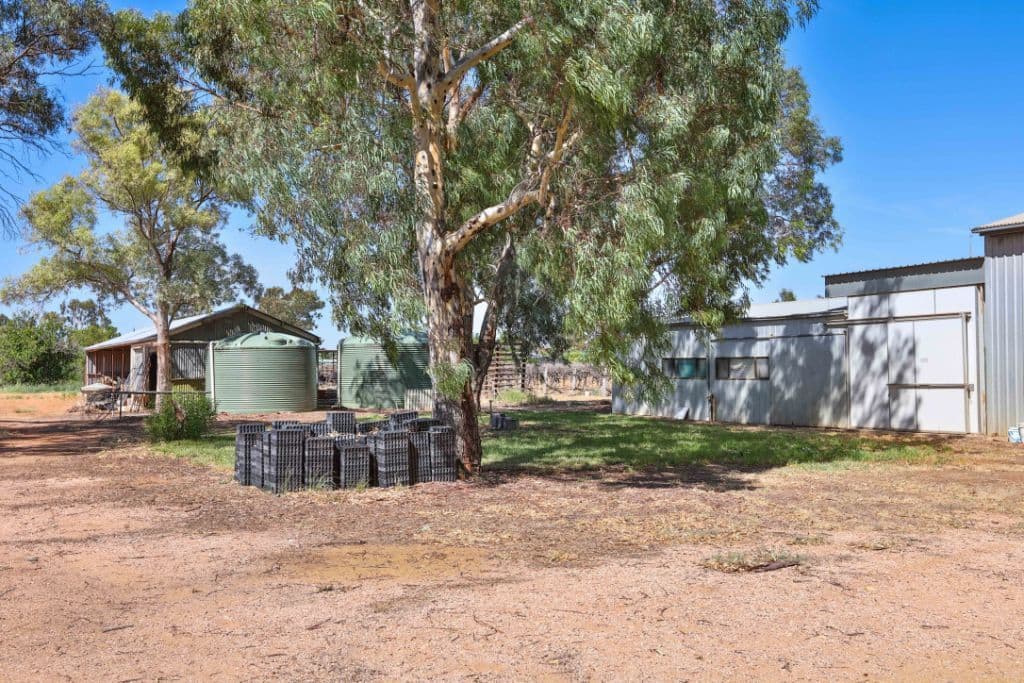 32 Rural Drive, Mildura VIC 3500, Mildura - Thumbnail 3