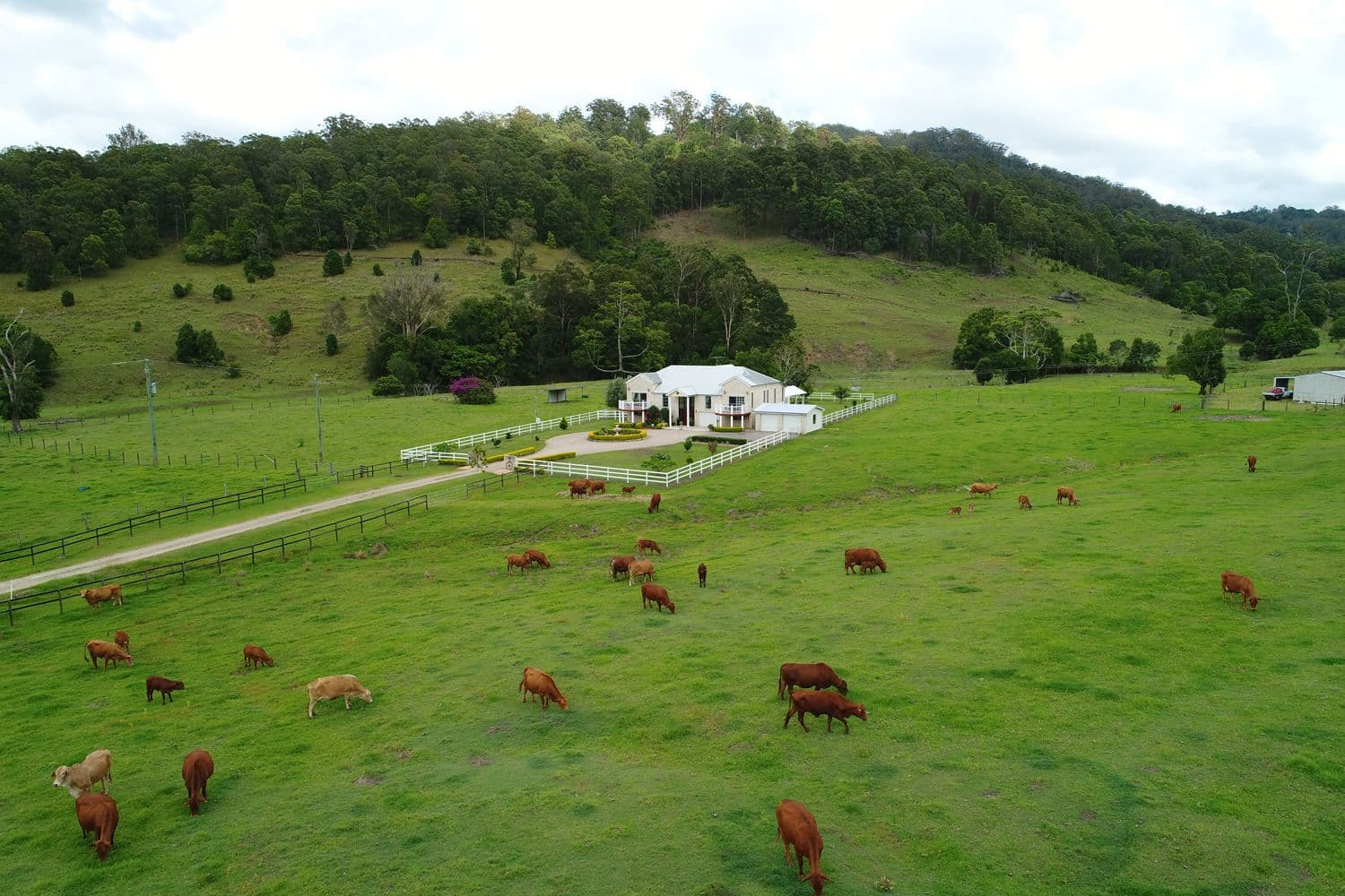 1179 Kilcoy Beerwah Road, Cedarton QLD 4514, Cedarton - Thumbnail 2