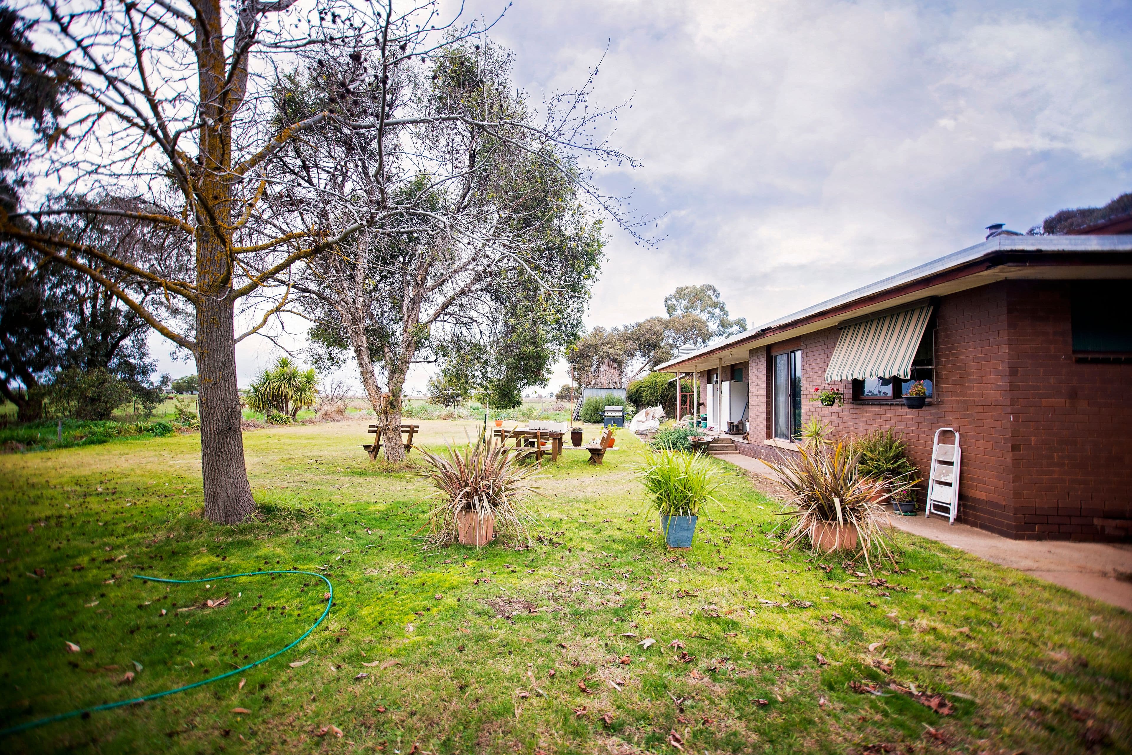1945 Webb Road, Nanneella VIC 3561, Nanneella - Thumbnail 6