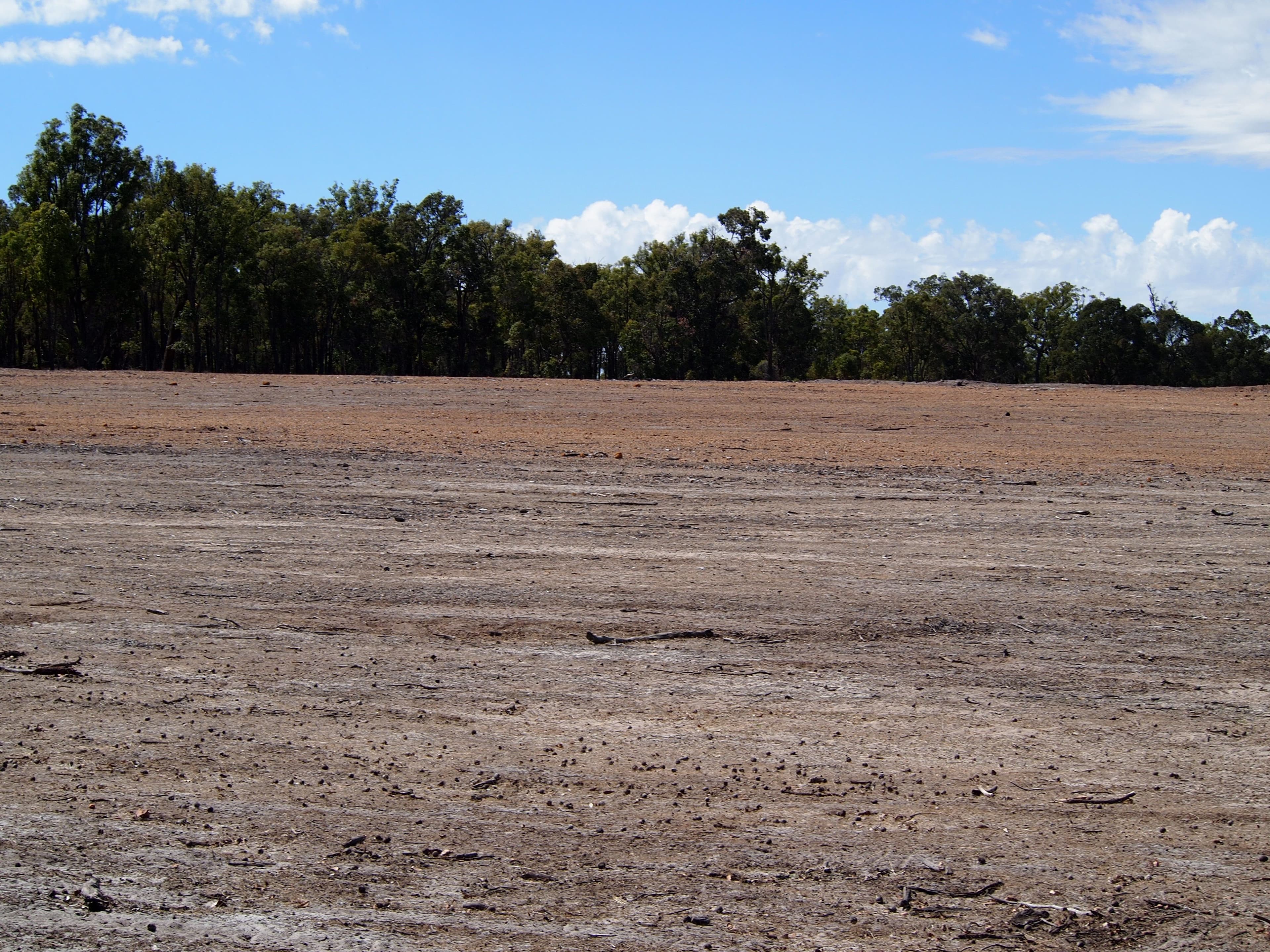 Maringee Farm, Trigwell Bridge Road, Darkan WA 6392, Darkan - Thumbnail 7