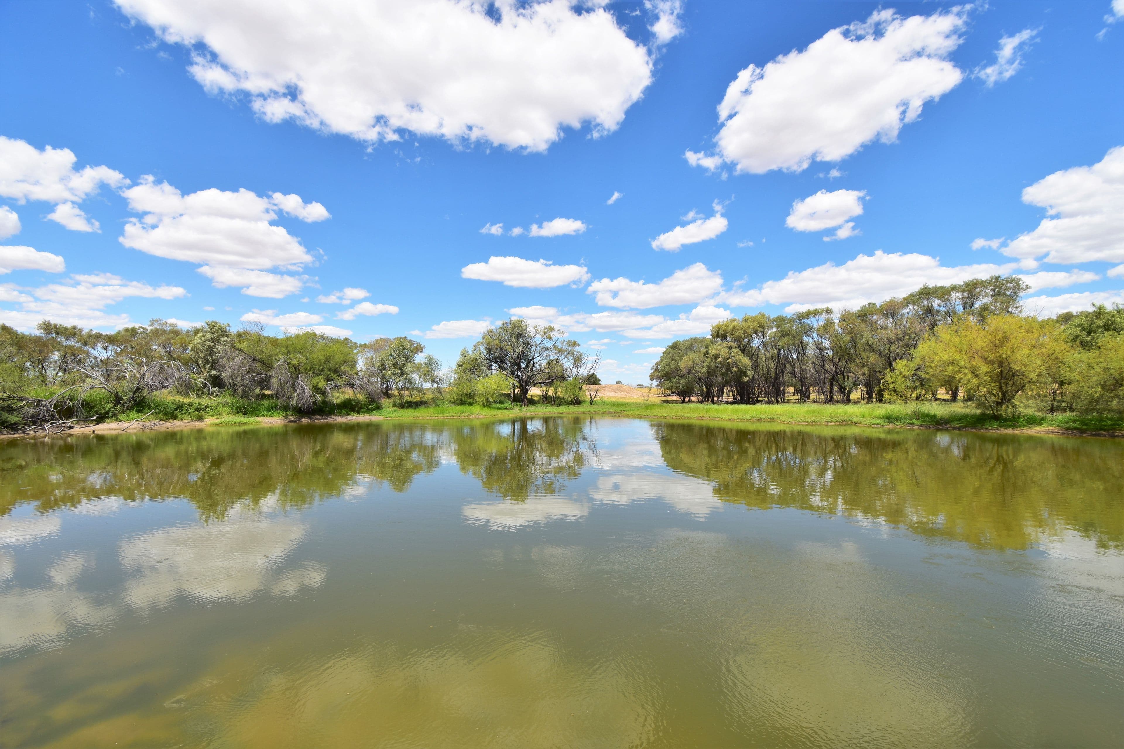 336 Cramsie-Muttaburra Road, Longreach QLD 4730, Longreach - Thumbnail 4