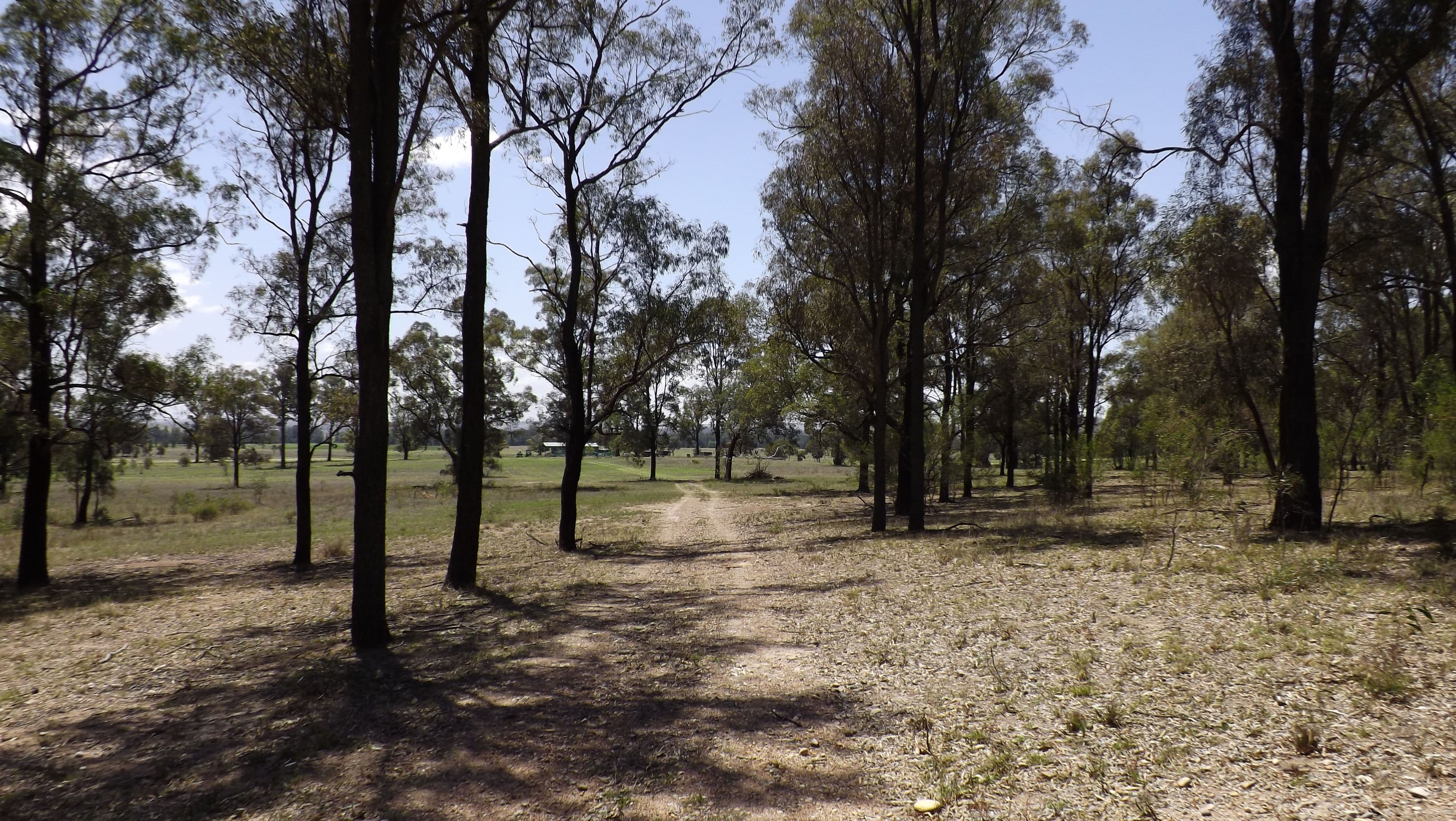153 Milbrodale Road, Milbrodale NSW 2330, Milbrodale - Thumbnail 8