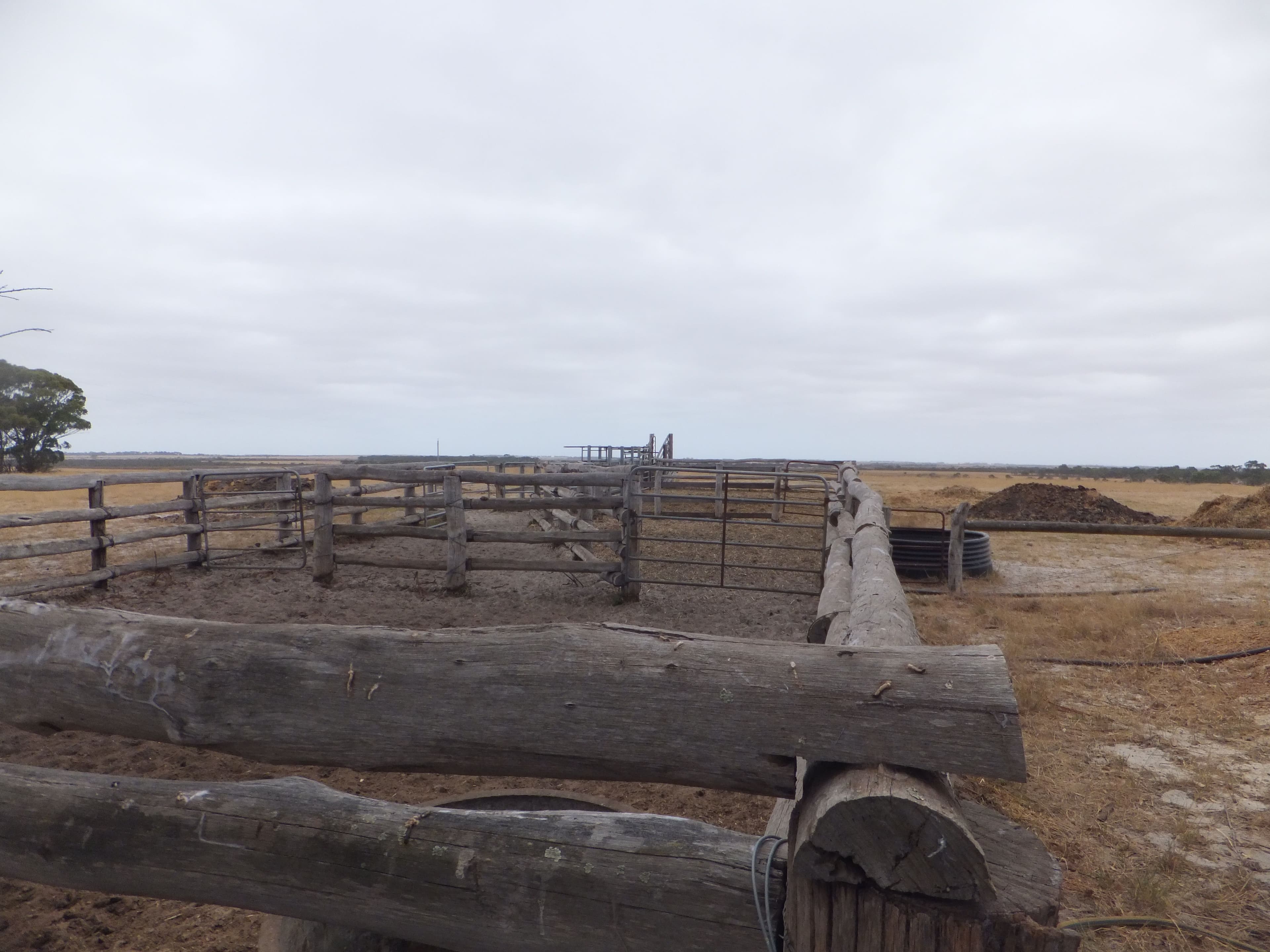1539 Middle Road, Jerdacuttup WA 6346, Jerdacuttup - Thumbnail 8