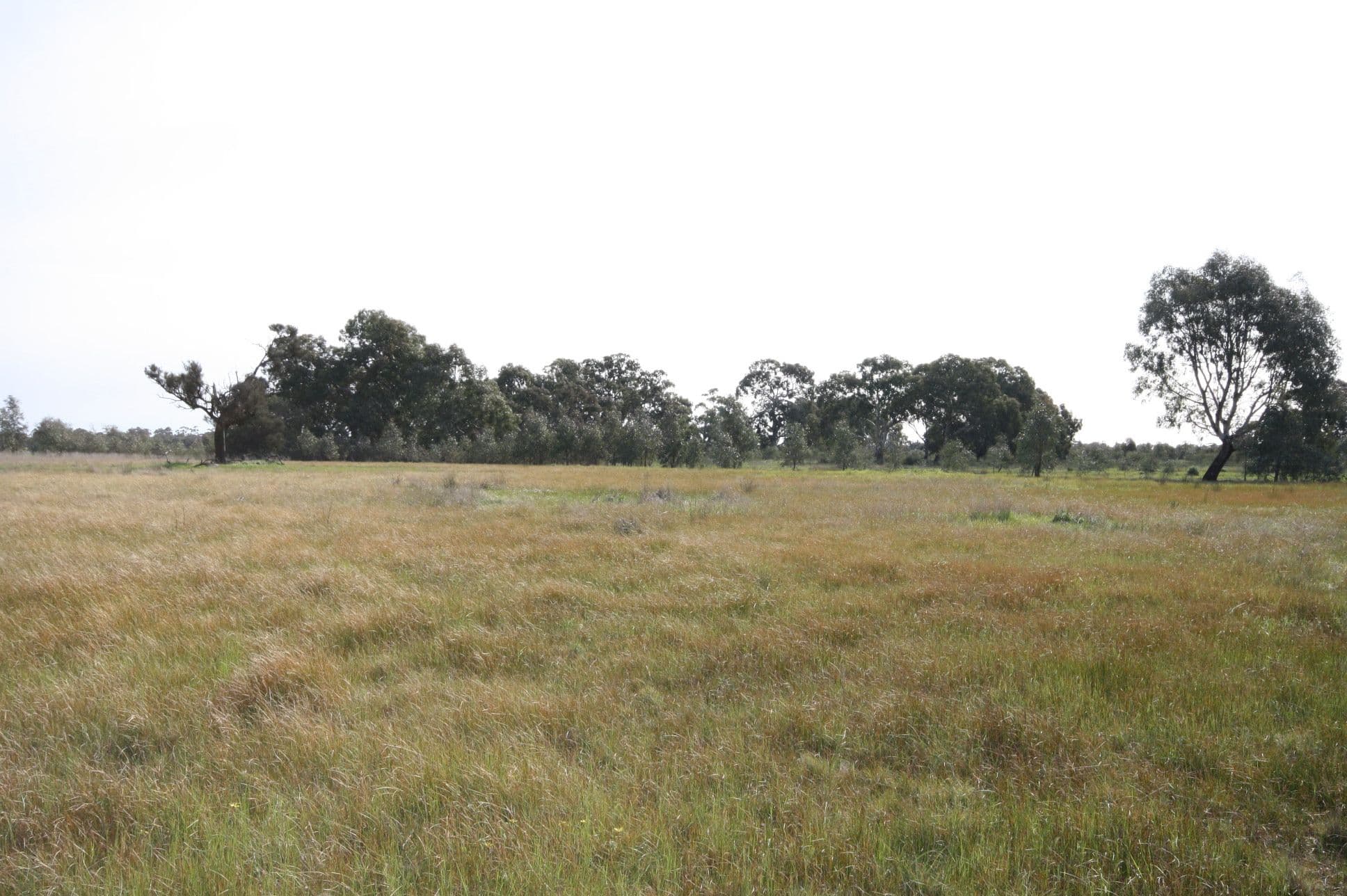 59 Old Banyena Road, ST ARNAUD VIC 3478, St Arnaud - Thumbnail 6