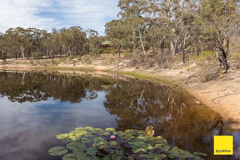 81 Birriwa Road, Bywong NSW 2621, Bywong - Thumbnail 8