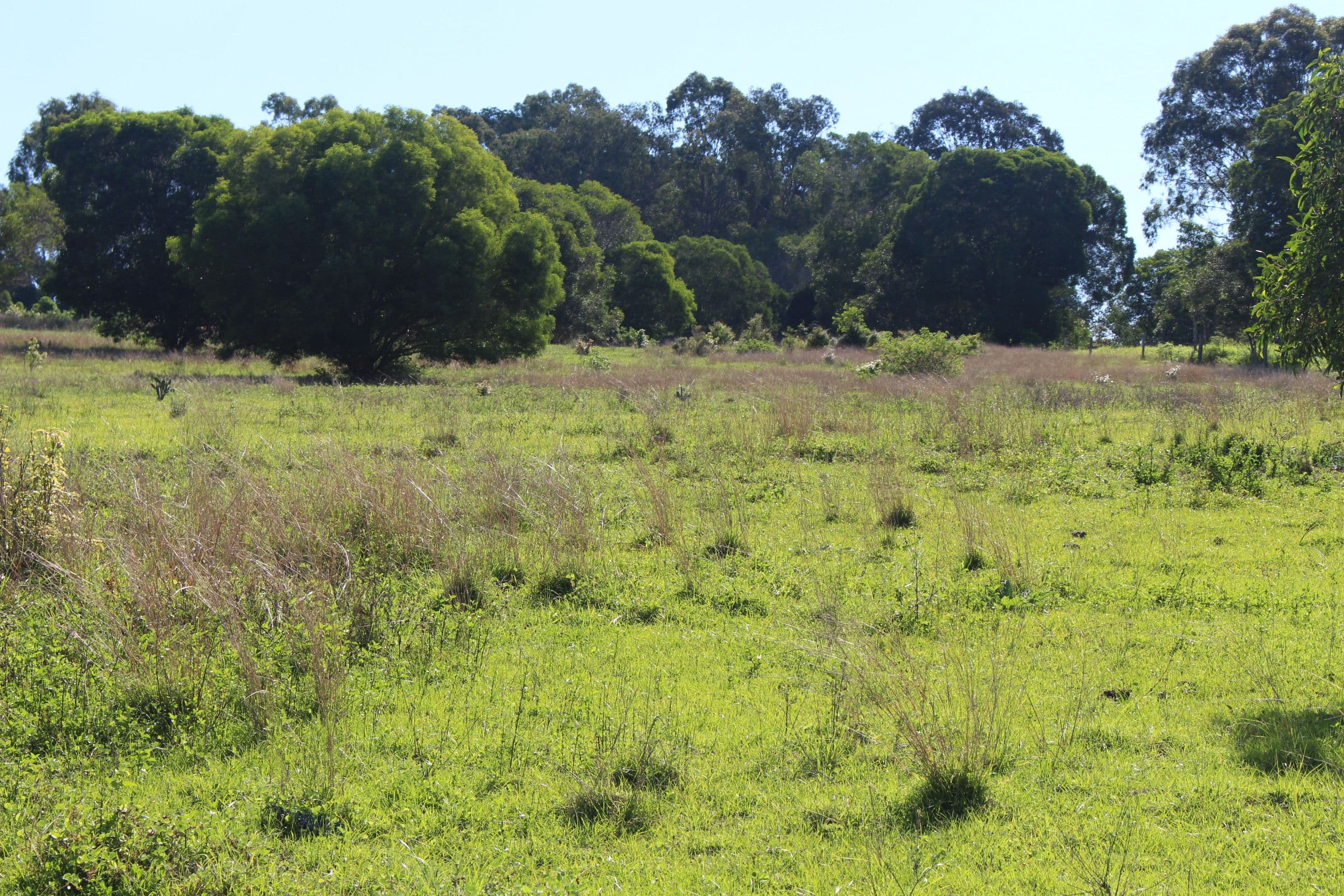 677 Goomeri West, Goomeri QLD 4601, Goomeri - Thumbnail 6