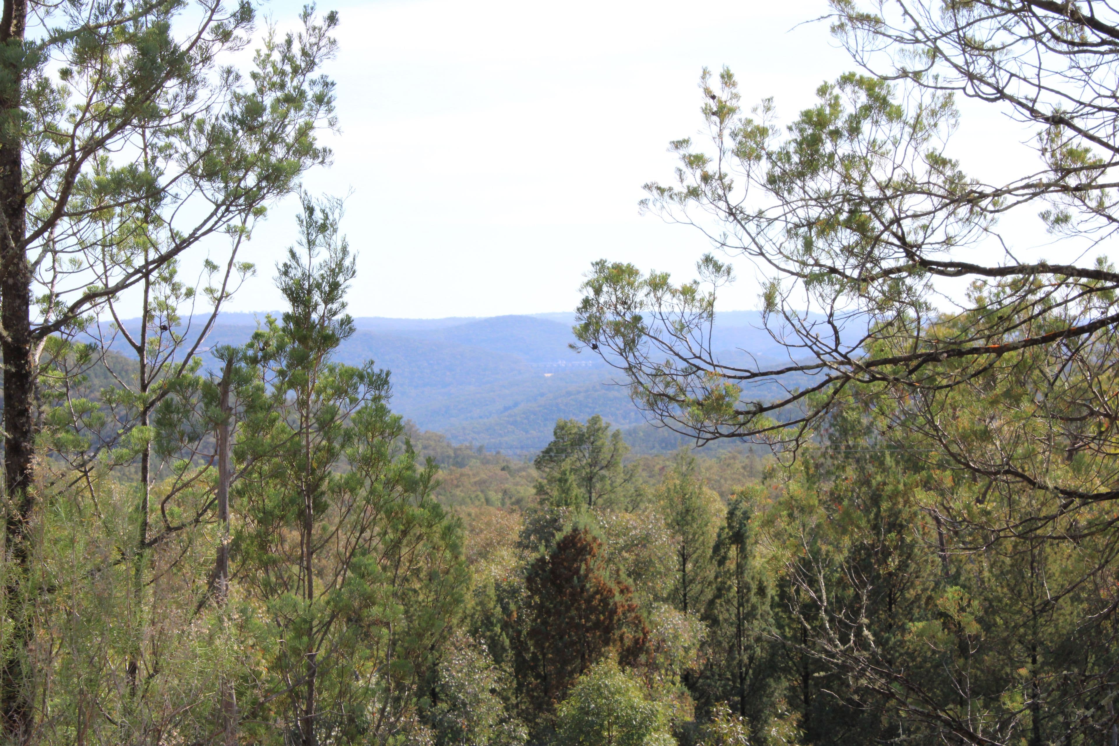 Inverell NSW 2360, Inverell - Thumbnail 3
