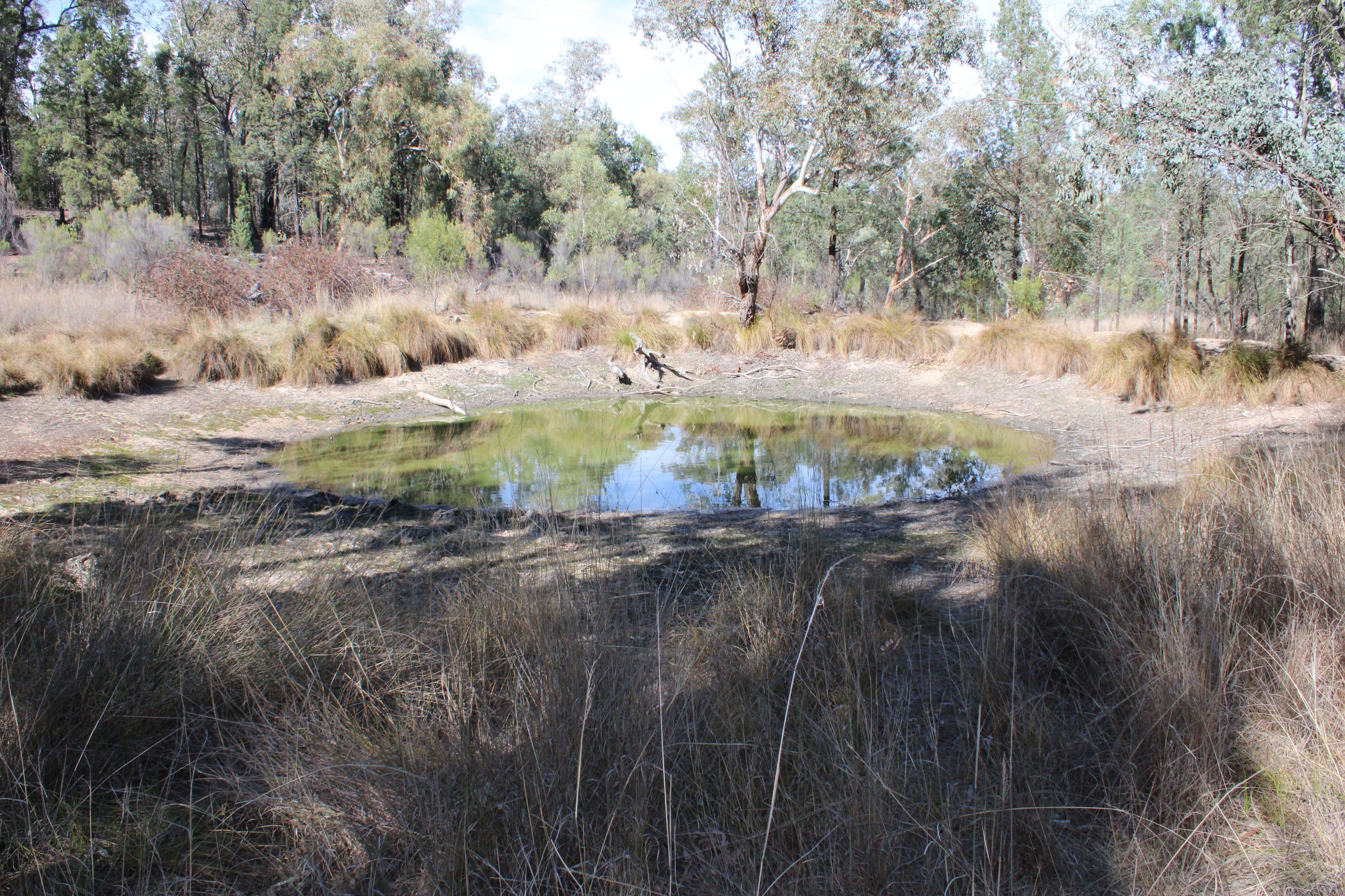 Inverell NSW 2360, Inverell - Thumbnail 4
