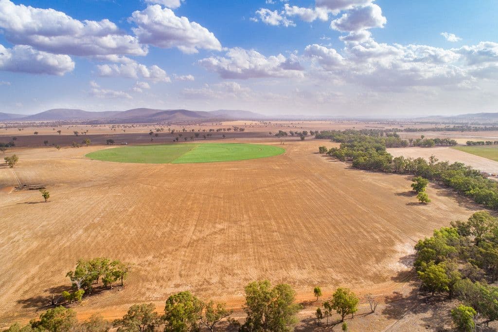 353 Cassidys Lane, Gooloogong NSW 2805, Gooloogong - Thumbnail 5