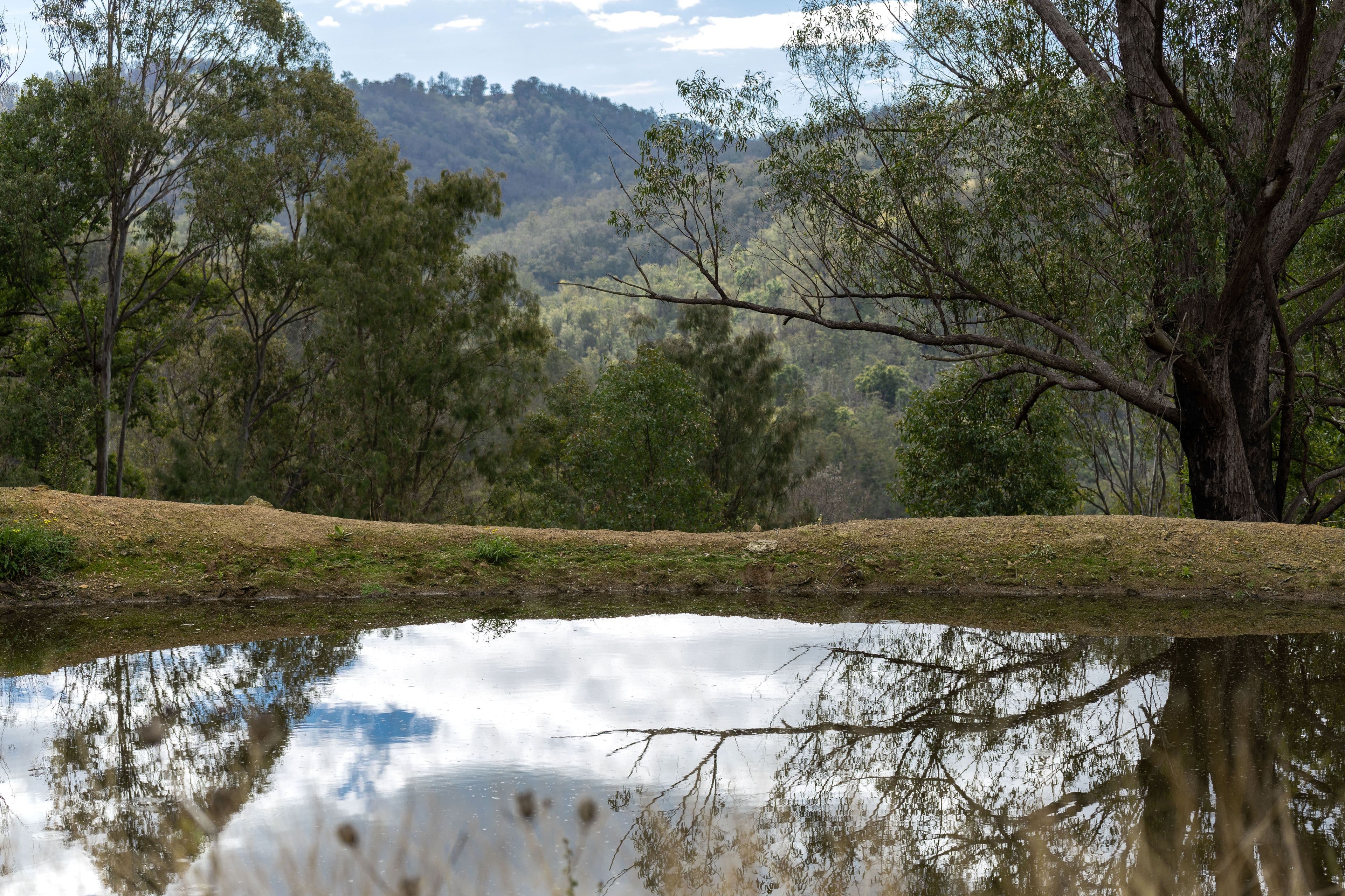 Lot 59 McPhersons Country Estates, Enfield Range Road, Cells River NSW 2424, Cells River - Thumbnail 3