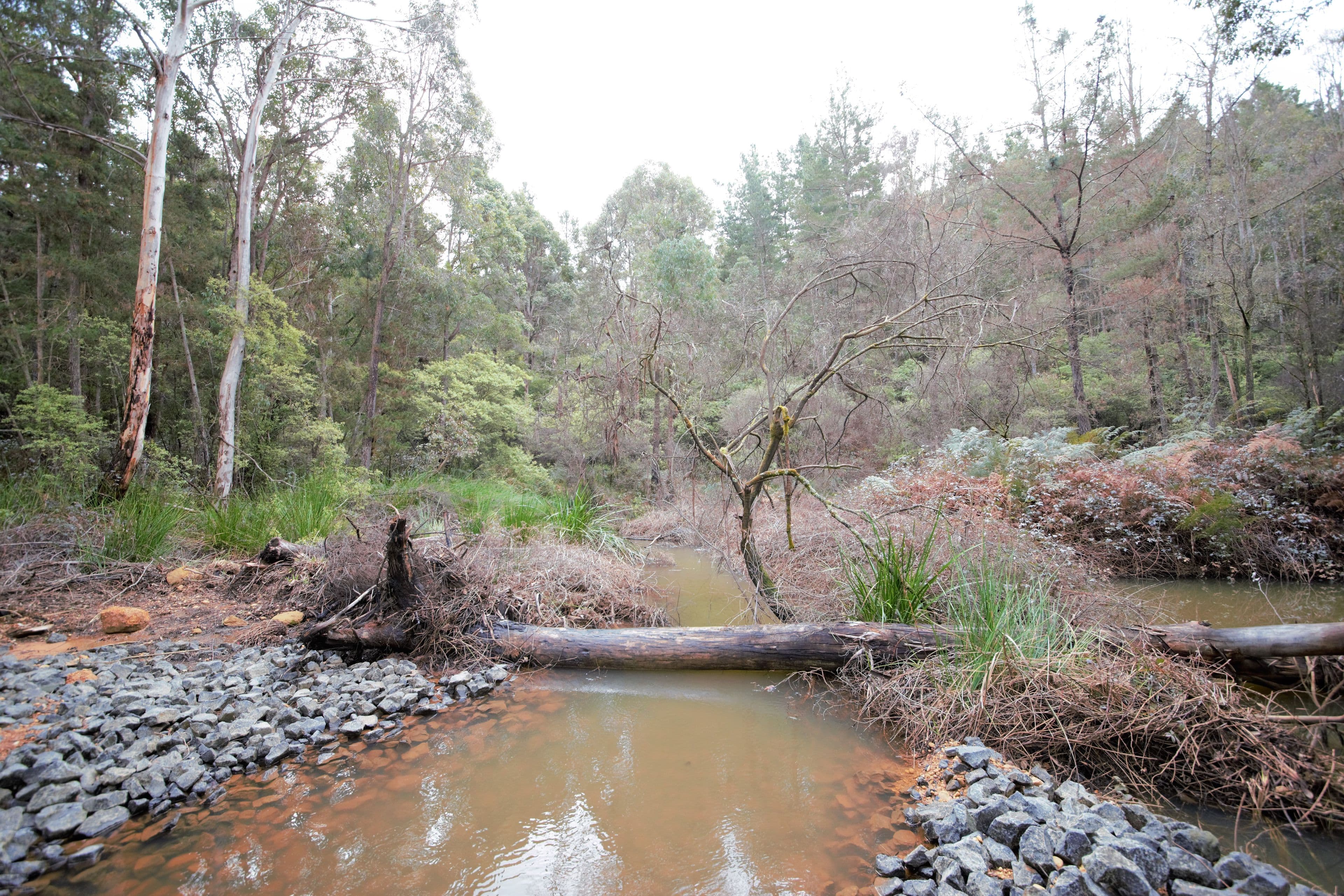 Nannup WA 6275, Nannup - Thumbnail 2