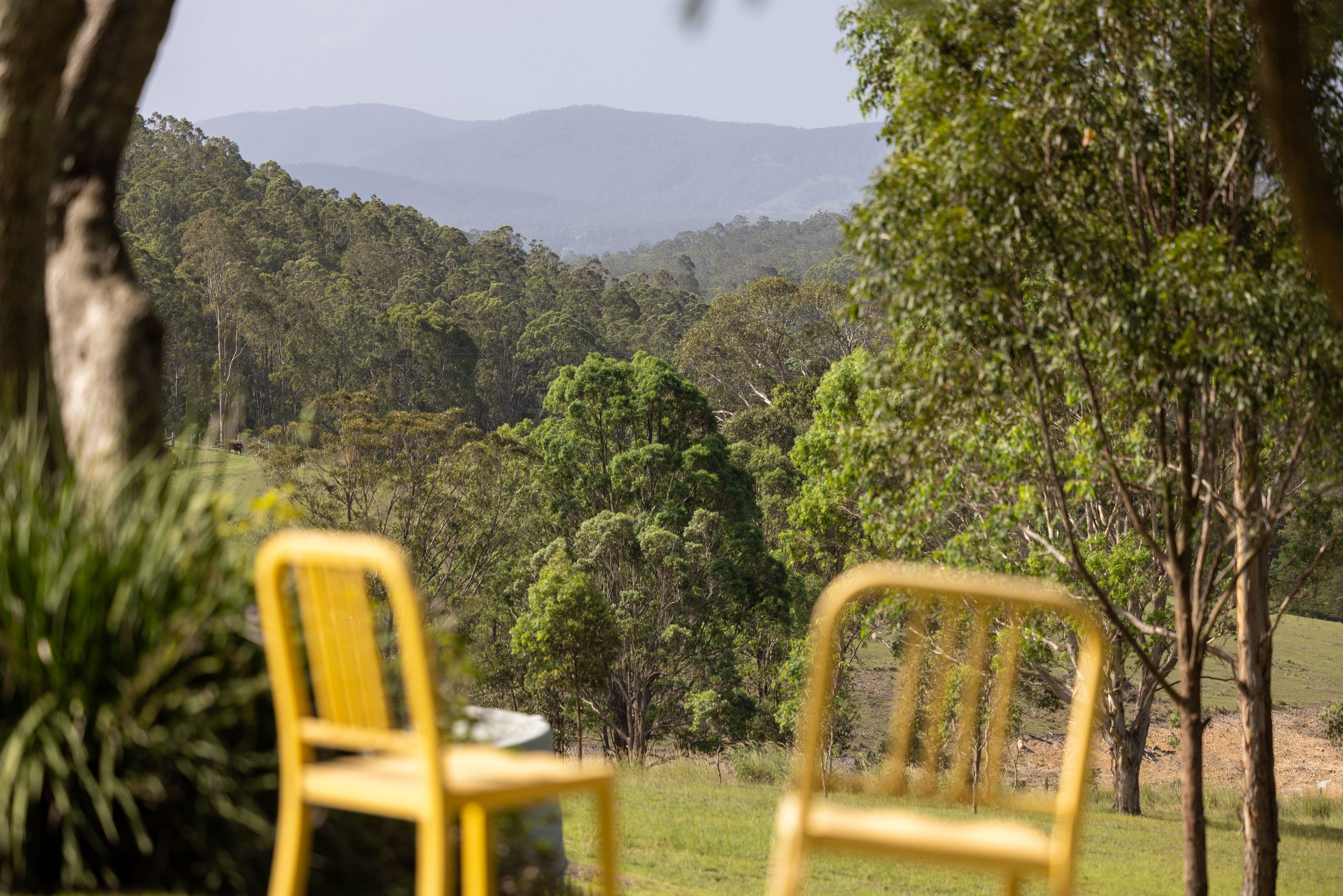 97 Bulby Close, Wang Wauk NSW 2423, Wang Wauk - Image 1