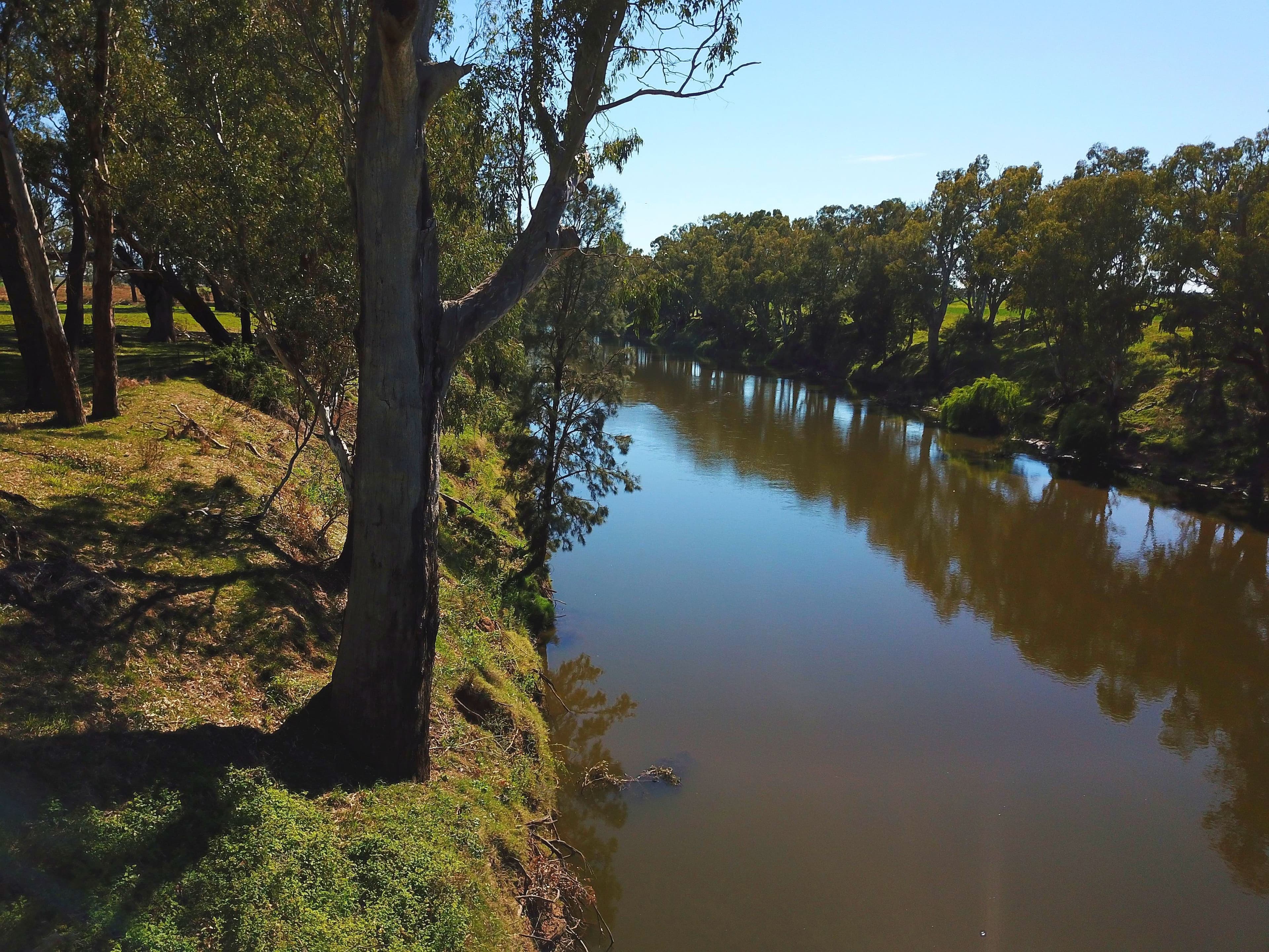 'The Rivergums' 5R Terra Drive, DUBBO NSW 2830, Dubbo - Thumbnail 2