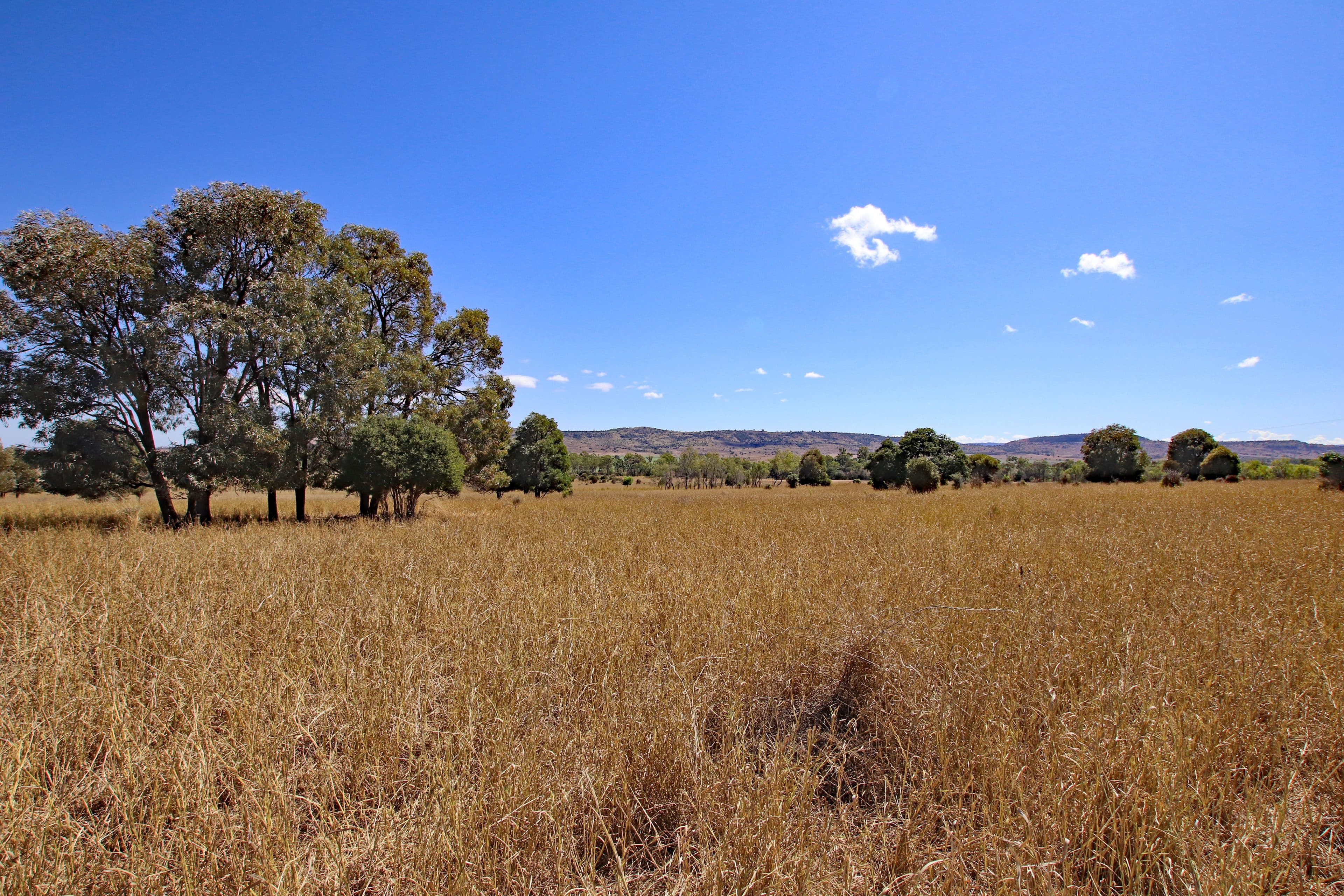 Thangool QLD 4716, Thangool - Image 1