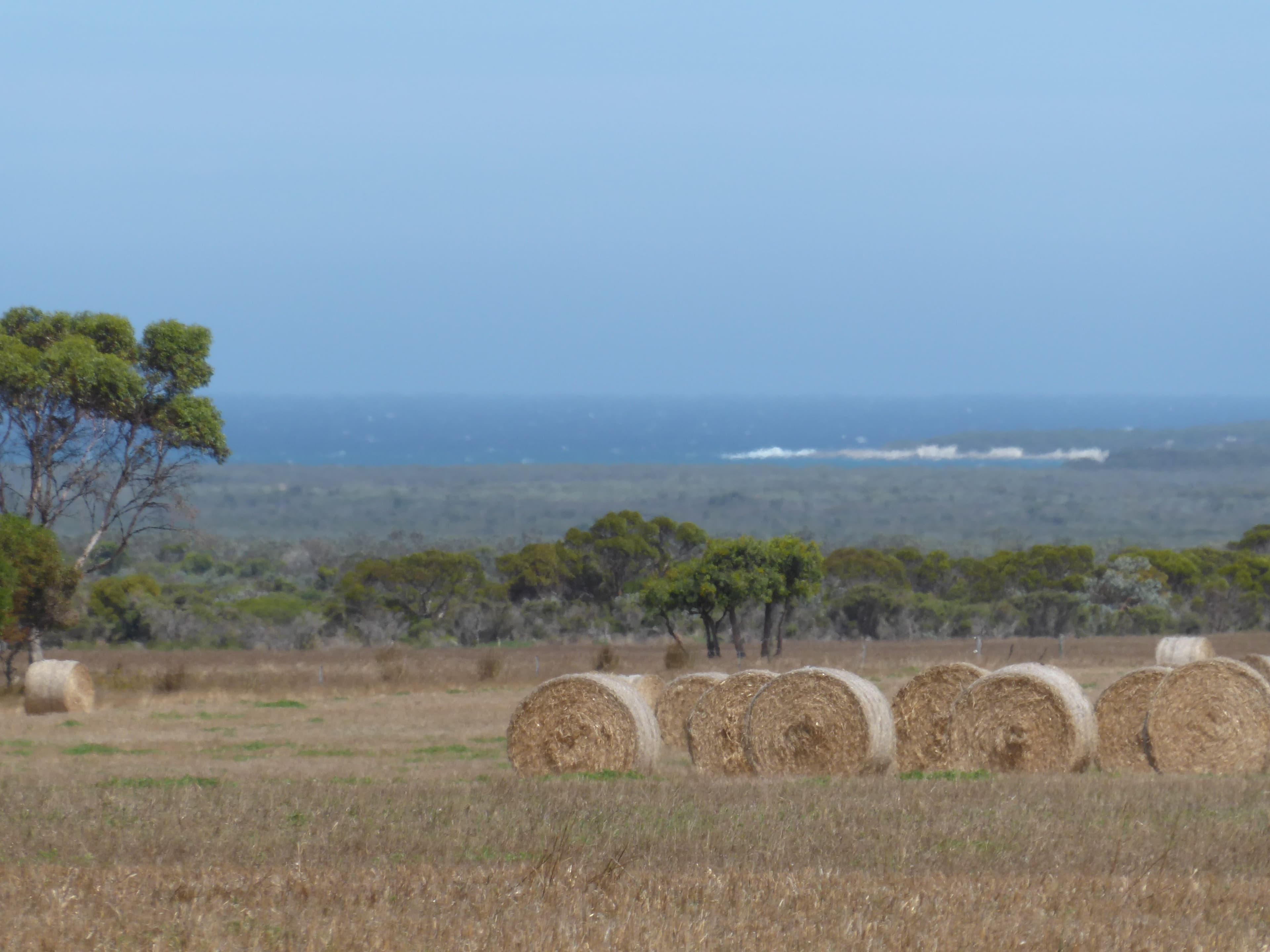 2318 Fence Road, Jerdacuttup WA 6346, Jerdacuttup - Thumbnail 2