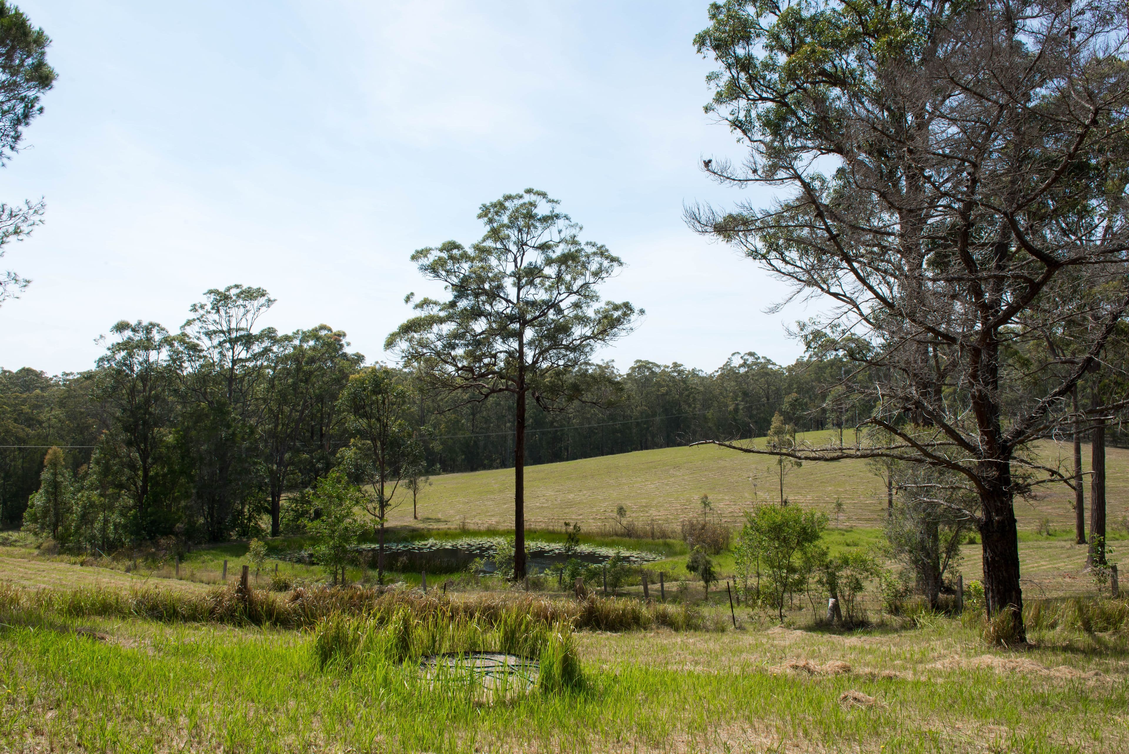 1730 The Lakes Way, Rainbow Flat NSW 2430, Rainbow Flat - Thumbnail 2