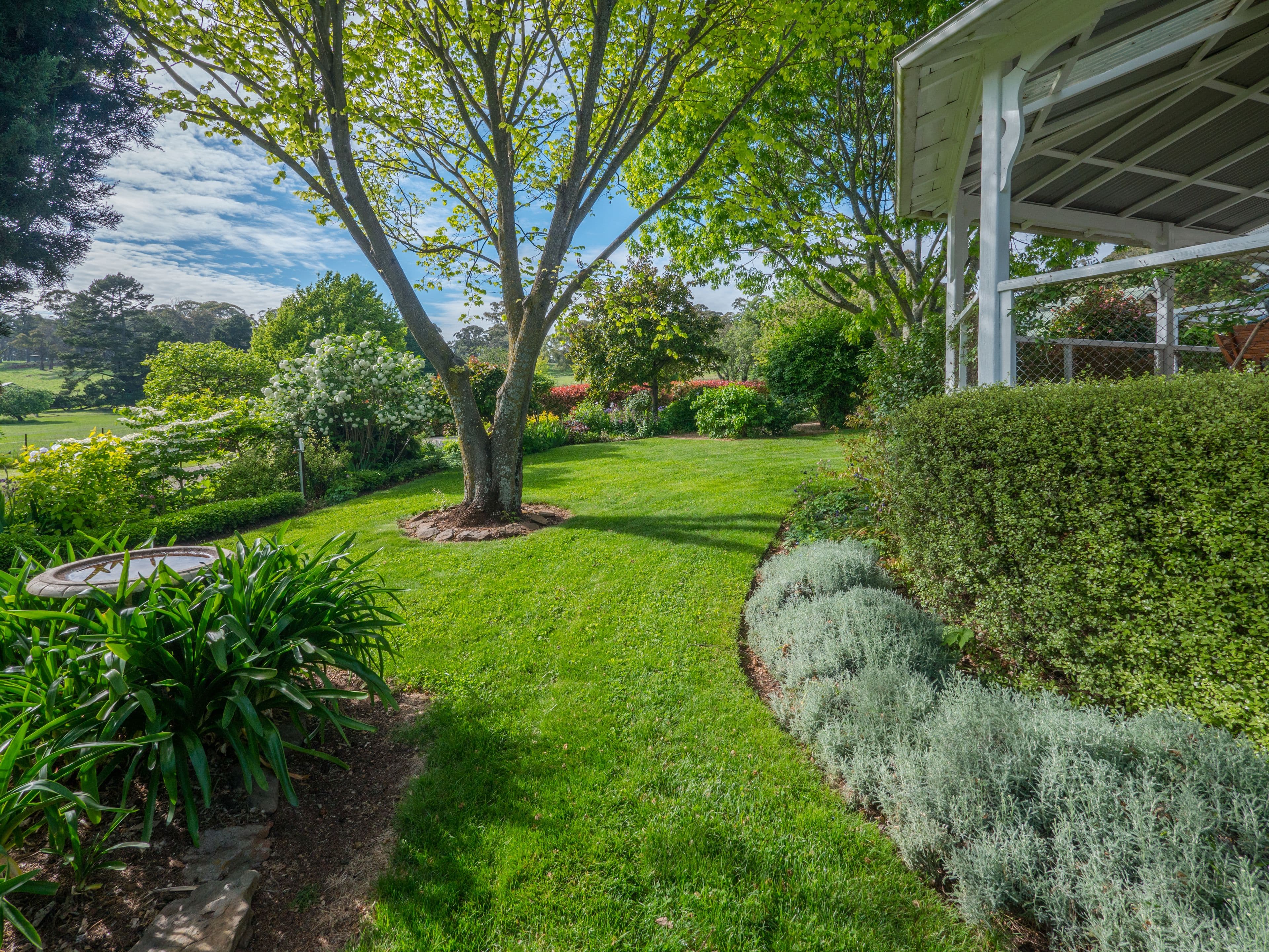 Old Belmont196 Toms Gully Road, Black Mountain NSW 2365, Black Mountain - Thumbnail 5