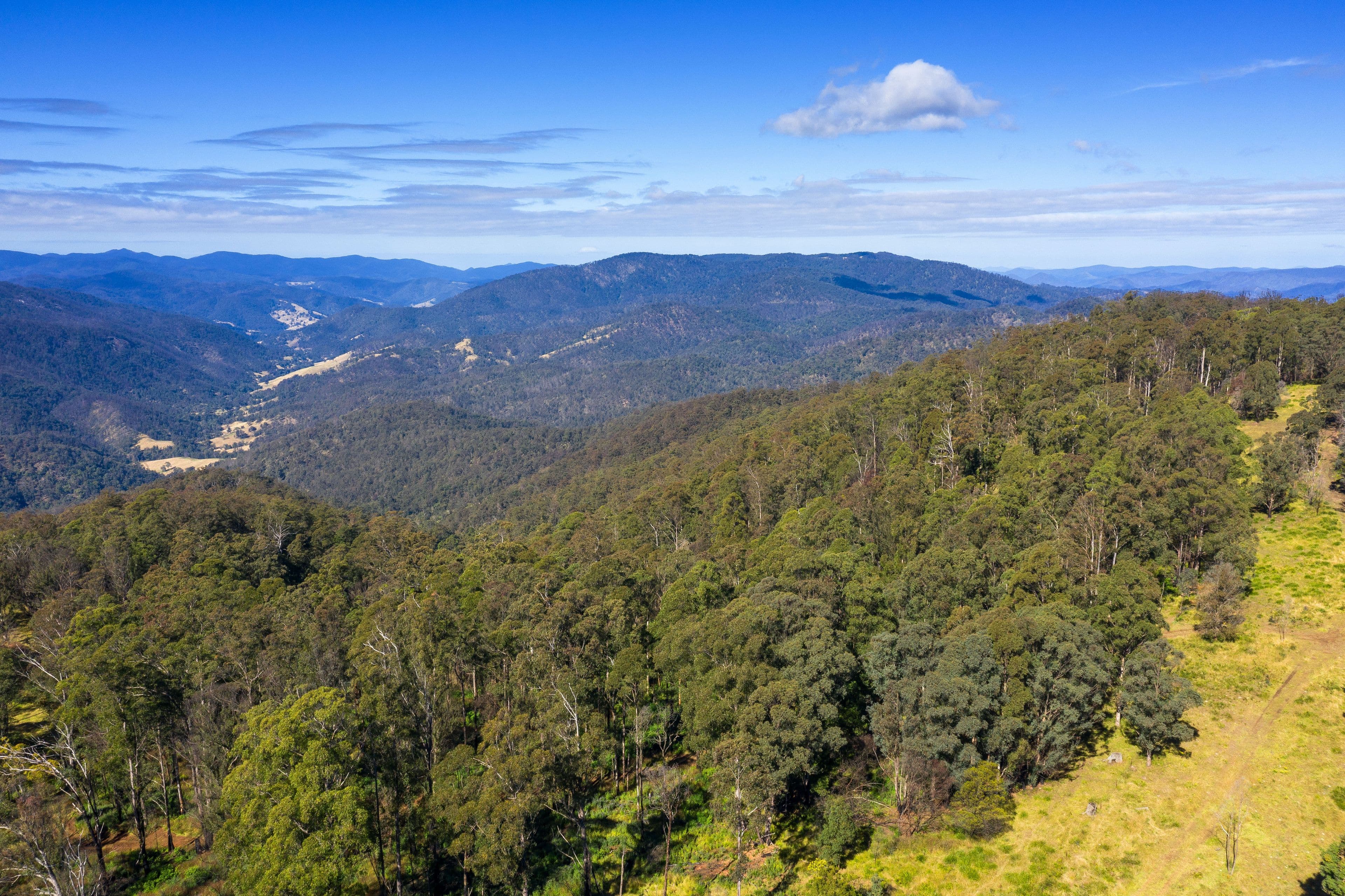Lot 88 Country Estates, Enfield Range Road, Cells River NSW 2424, Cells River - Thumbnail 5