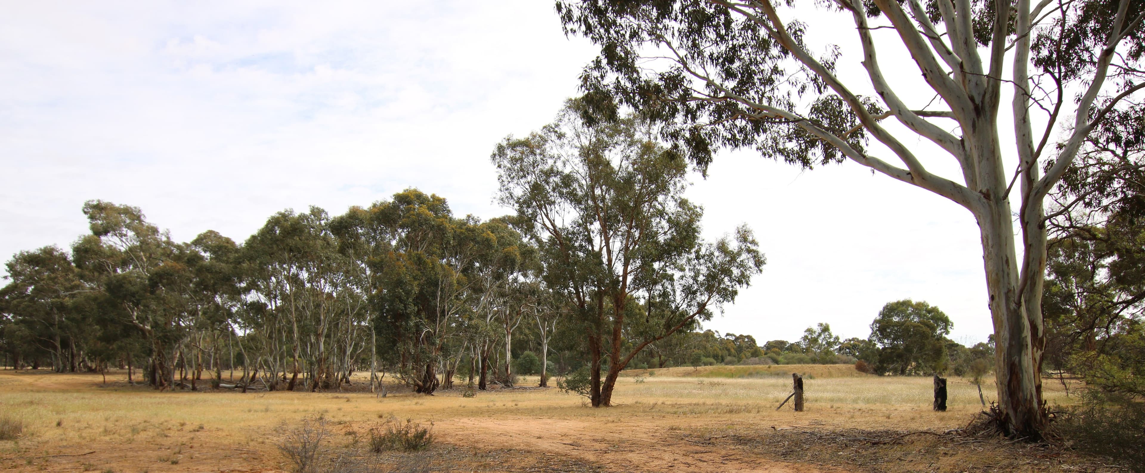 00 Charlton-St Arnaud Road, St Arnaud VIC 3478, St Arnaud - Image 1